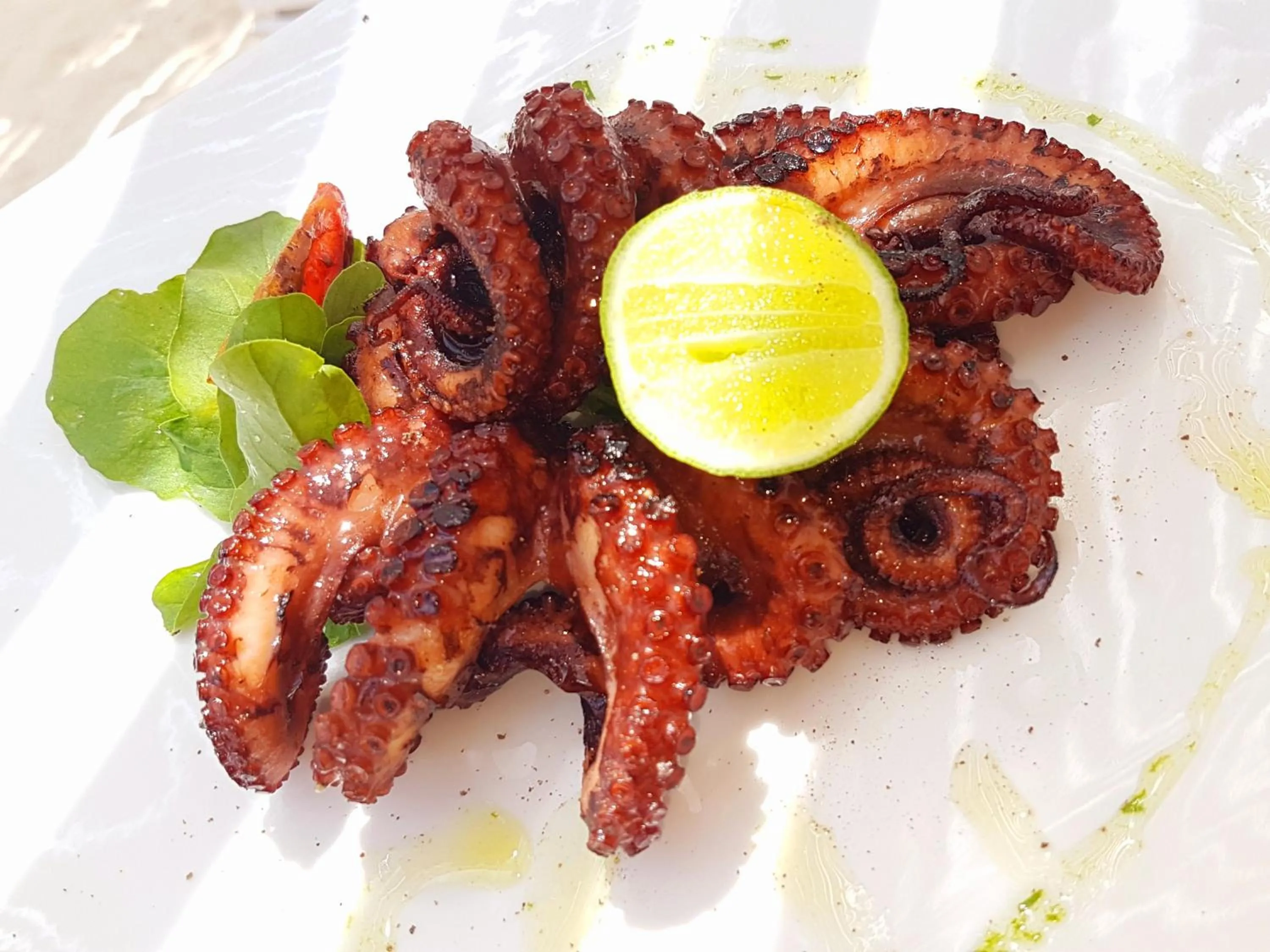 Food close-up in Peter Pan Beach Lodge