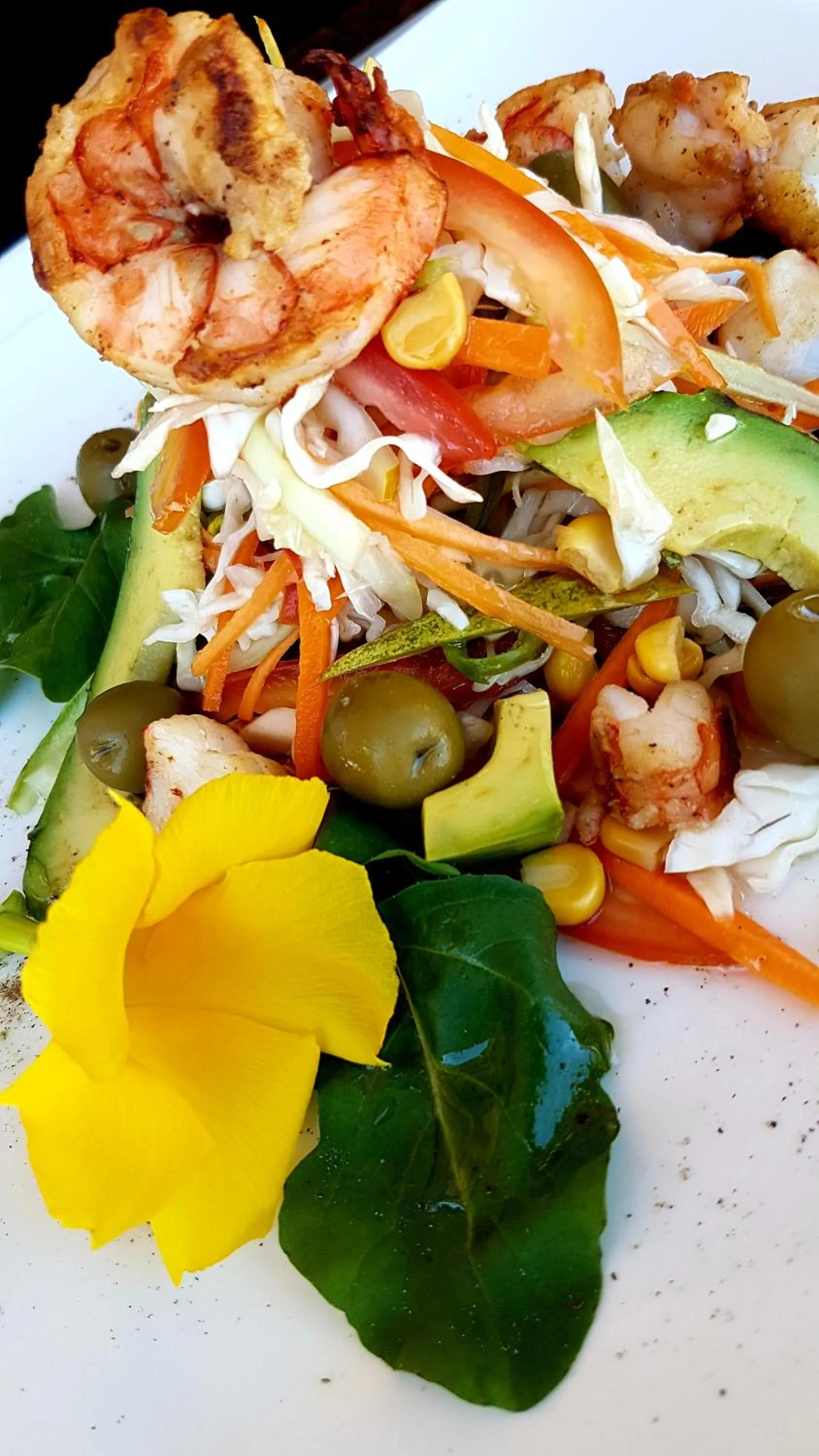 Food close-up in Peter Pan Beach Lodge