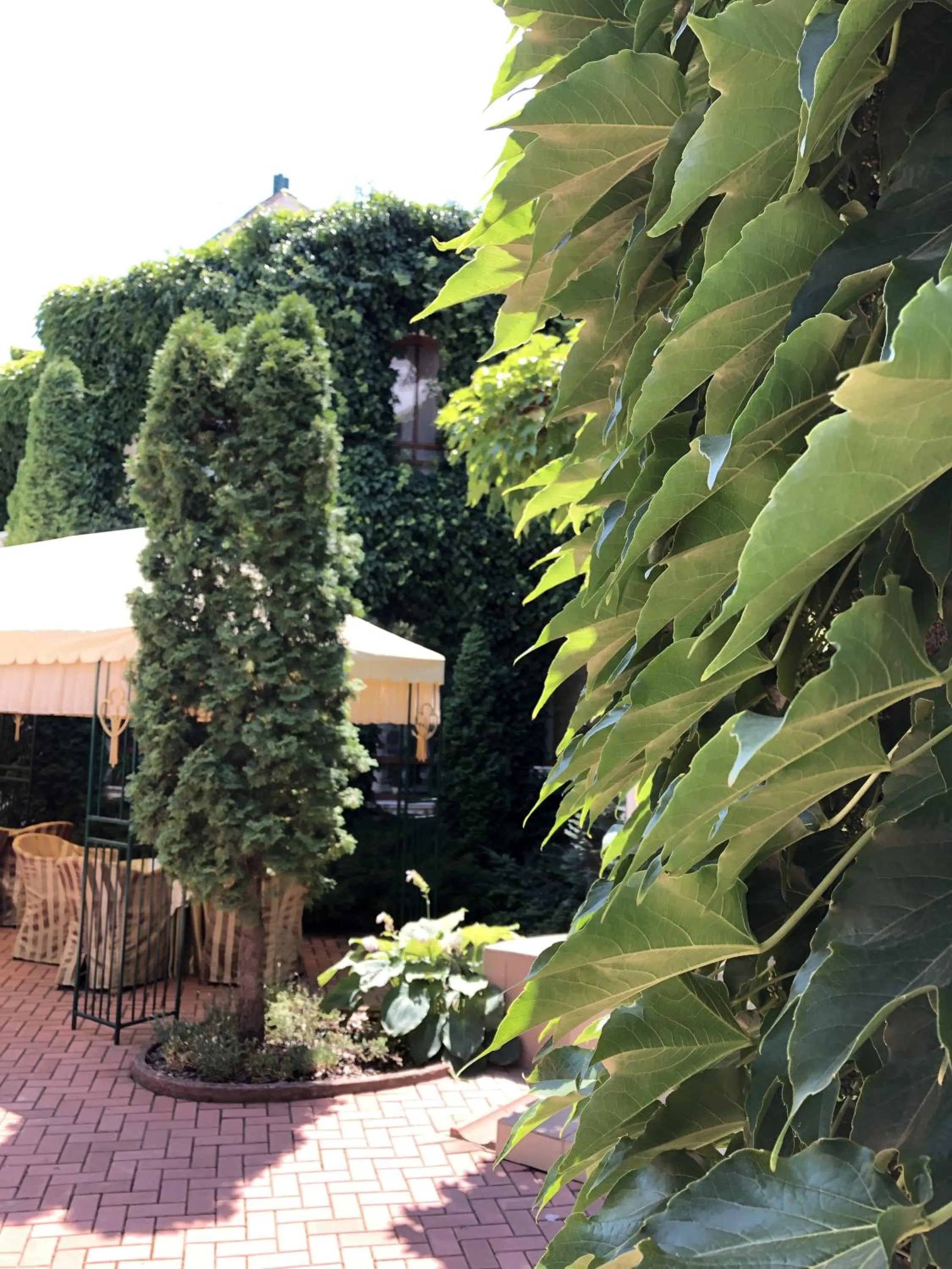 Patio in Zolotoy Fazan