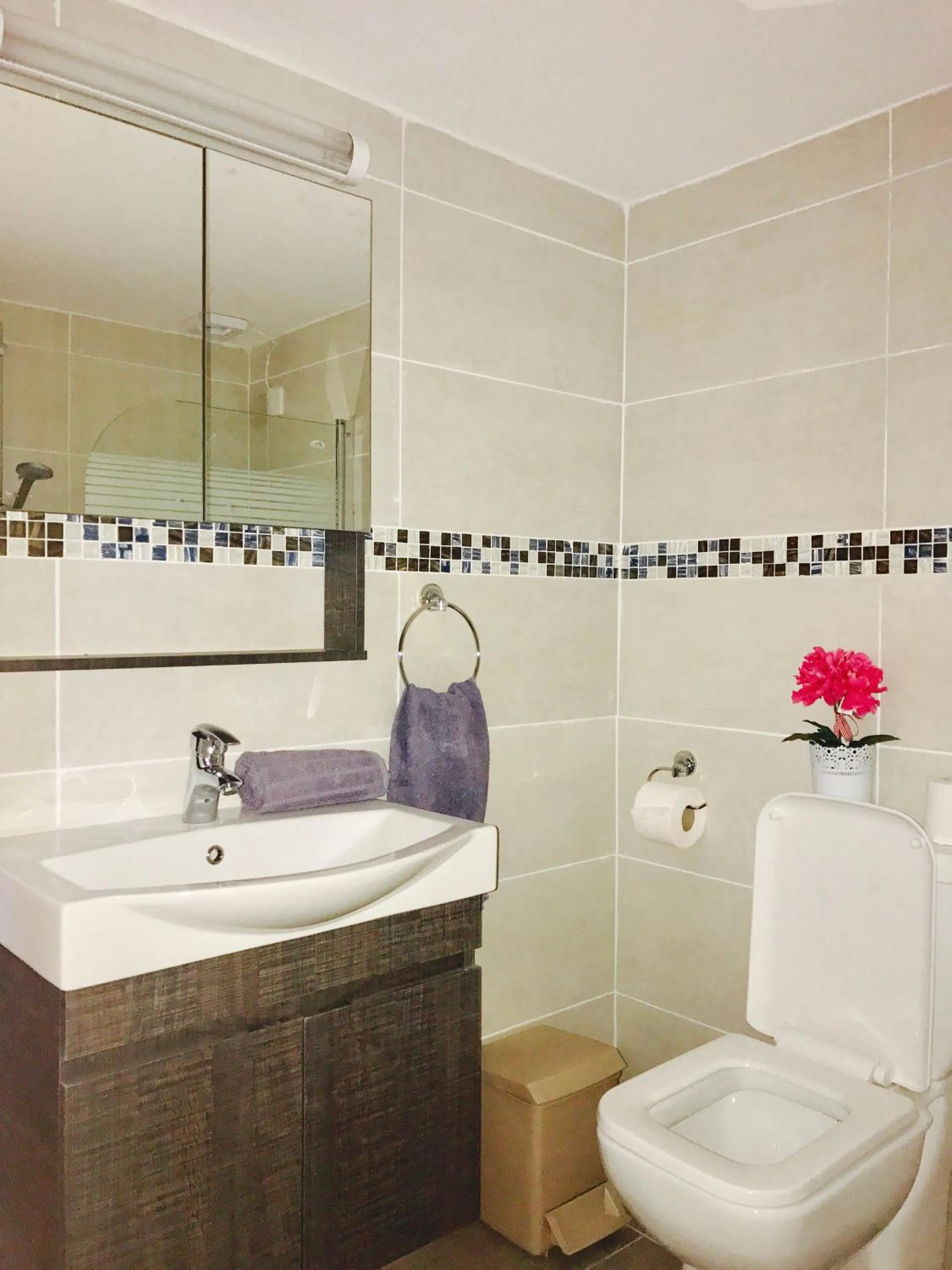 Bathroom in Angela Holiday Apartments