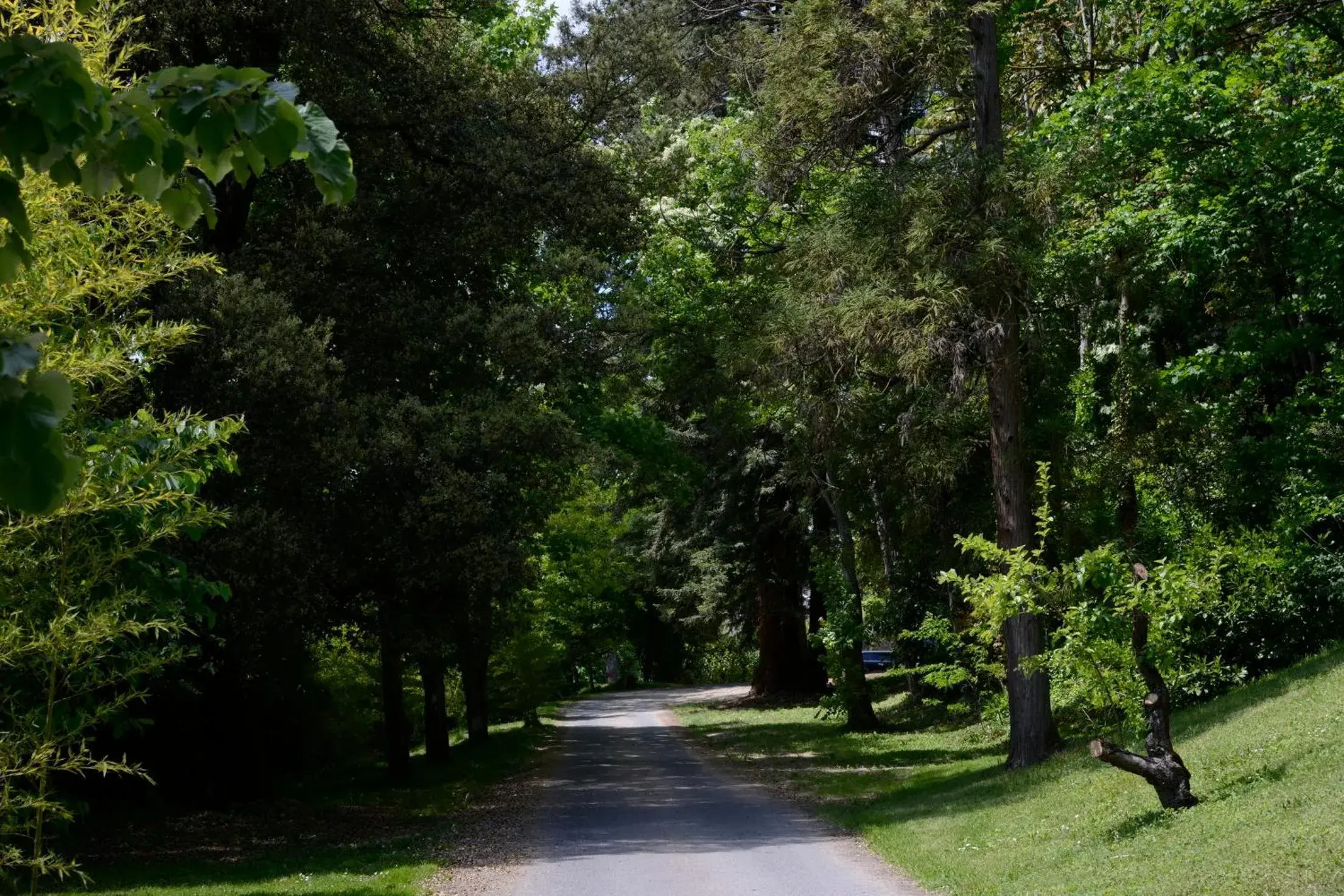 Facade/entrance in Art Hotel Facade/entrance in Art Hotel