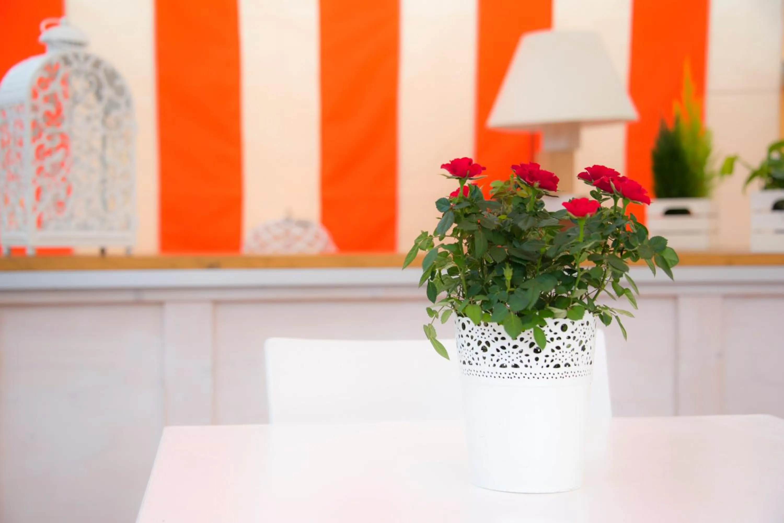 Balcony/Terrace in Casa Martini