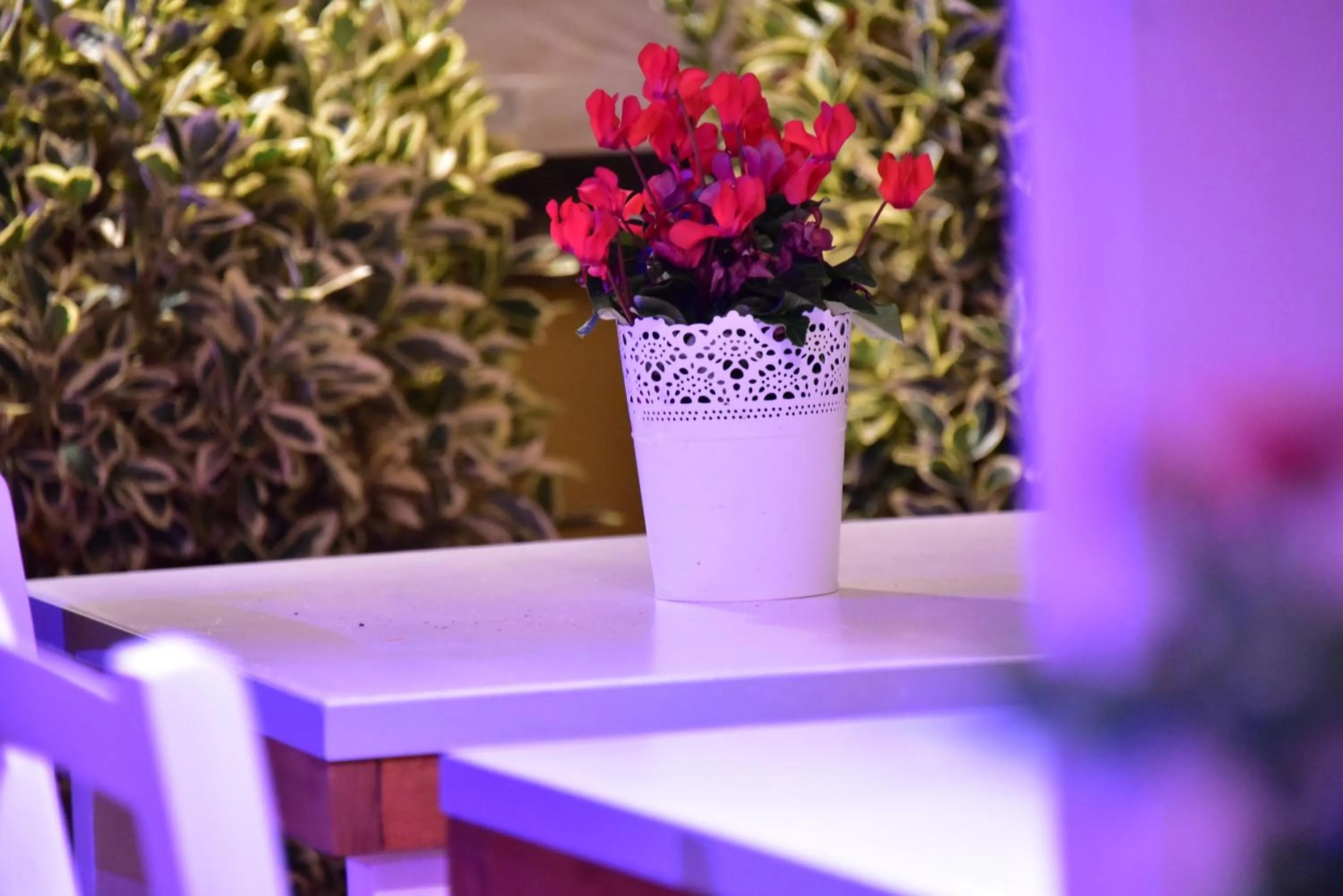 Balcony/Terrace in Casa Martini