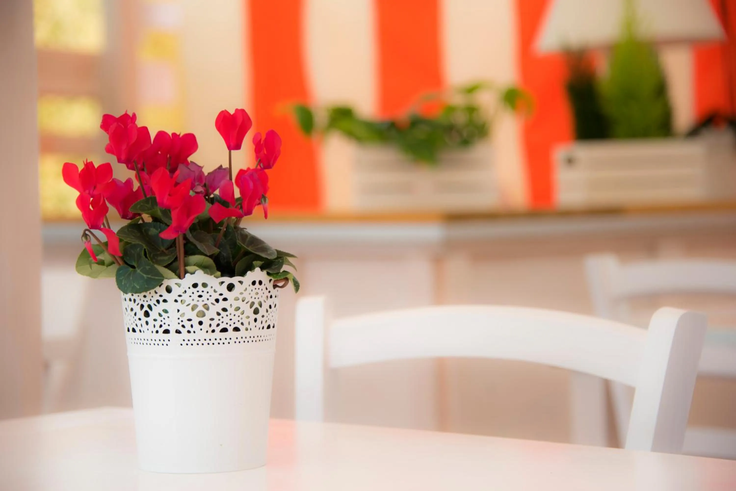 Balcony/Terrace in Casa Martini