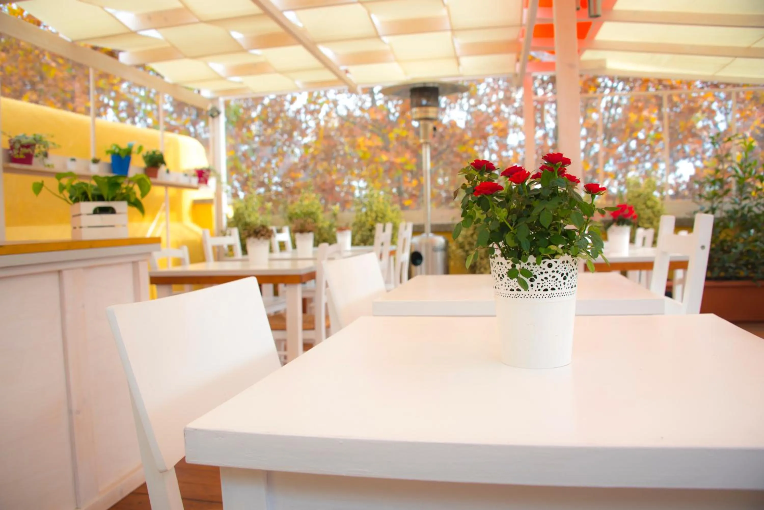 Balcony/Terrace in Casa Martini