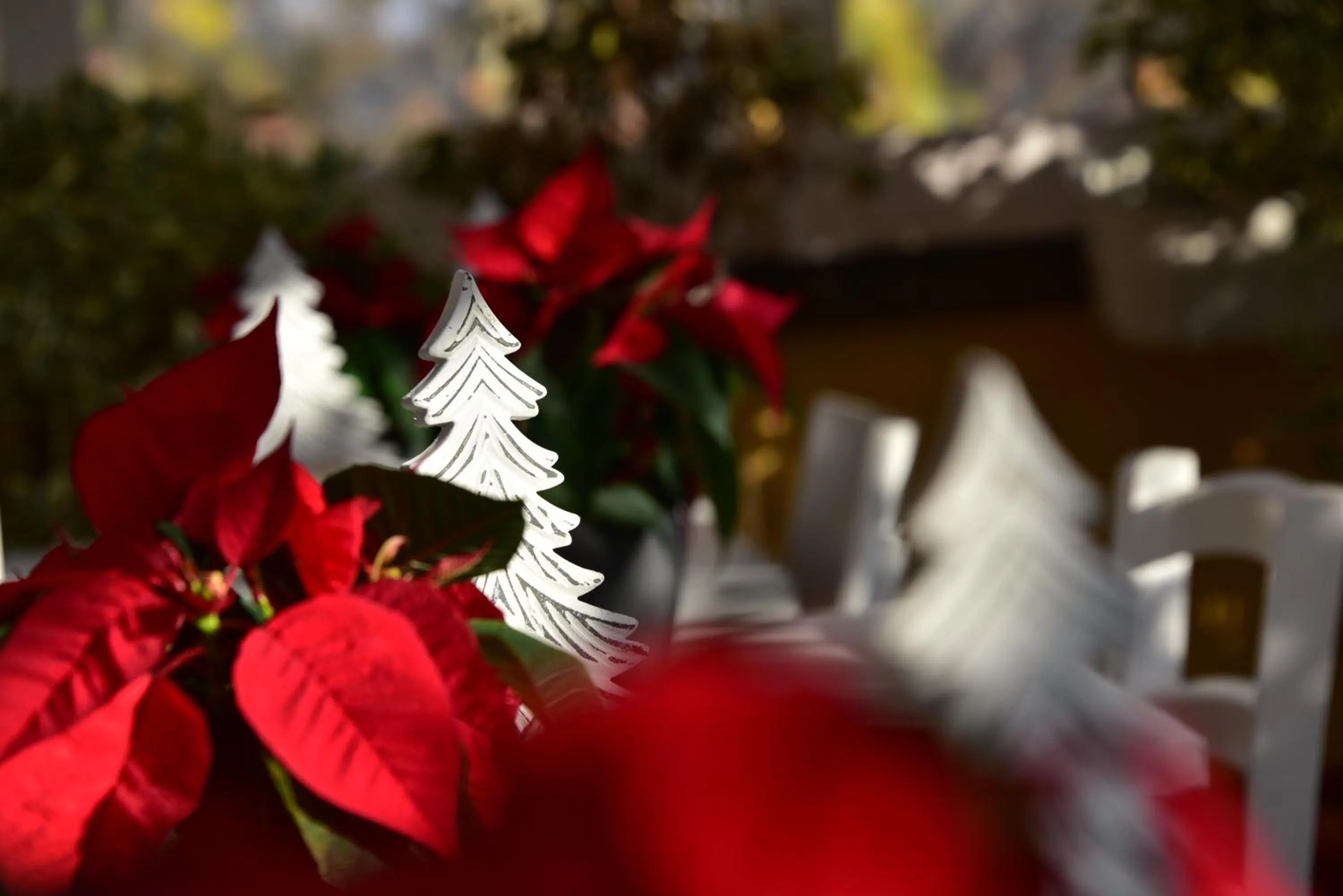 Decorative detail in Casa Martini