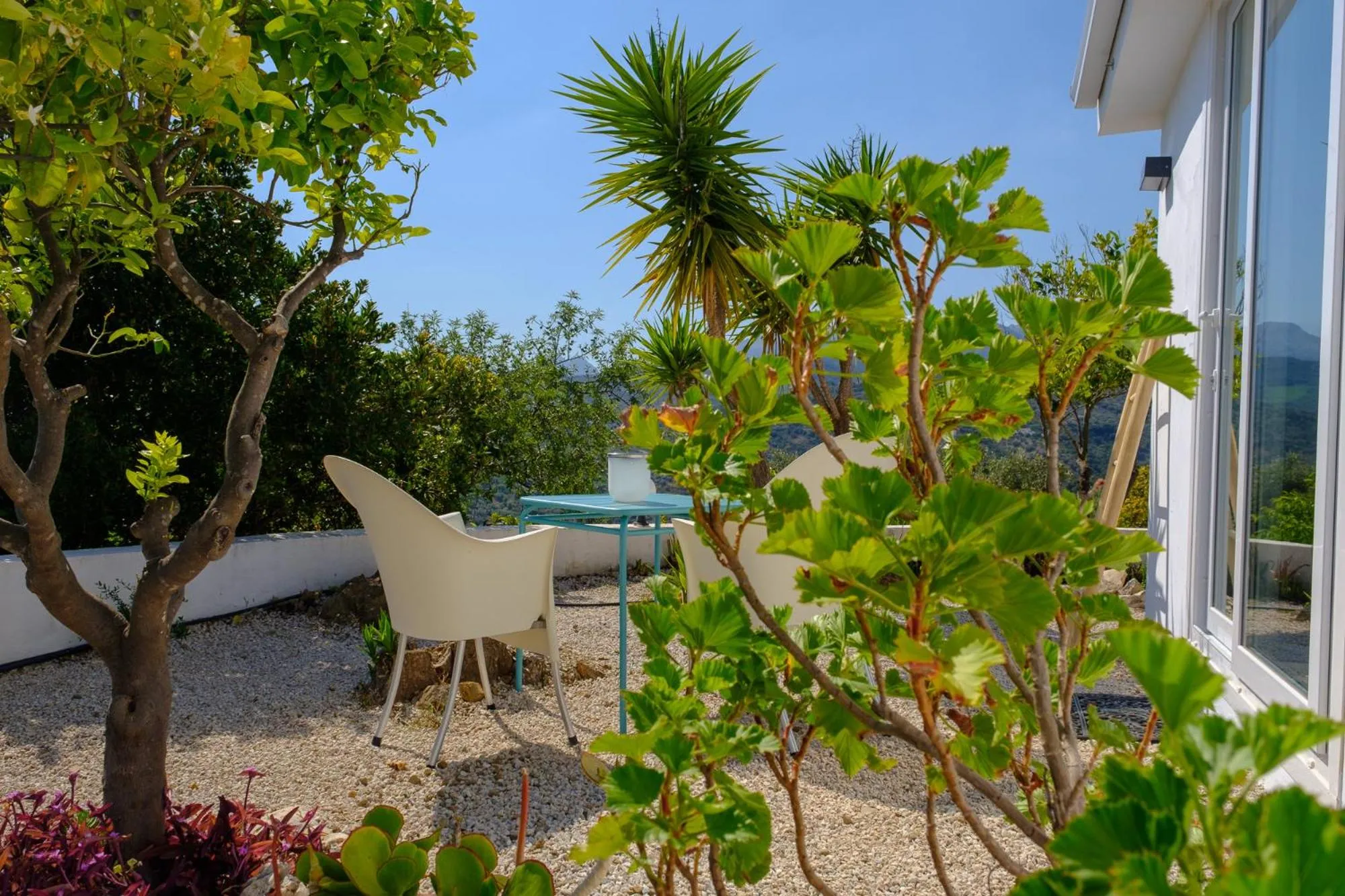 Patio in Finca Gordo