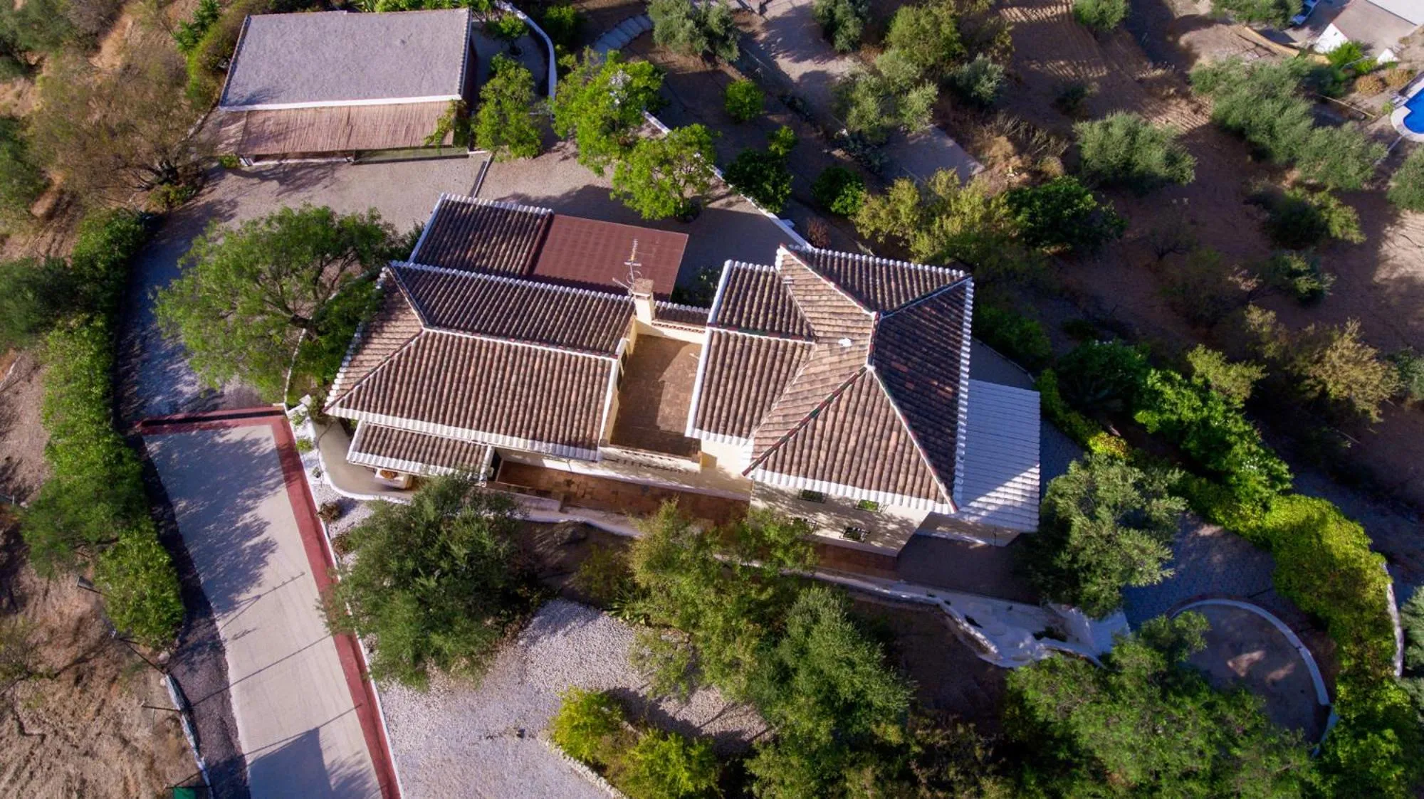 Bird's eye view in Finca Gordo