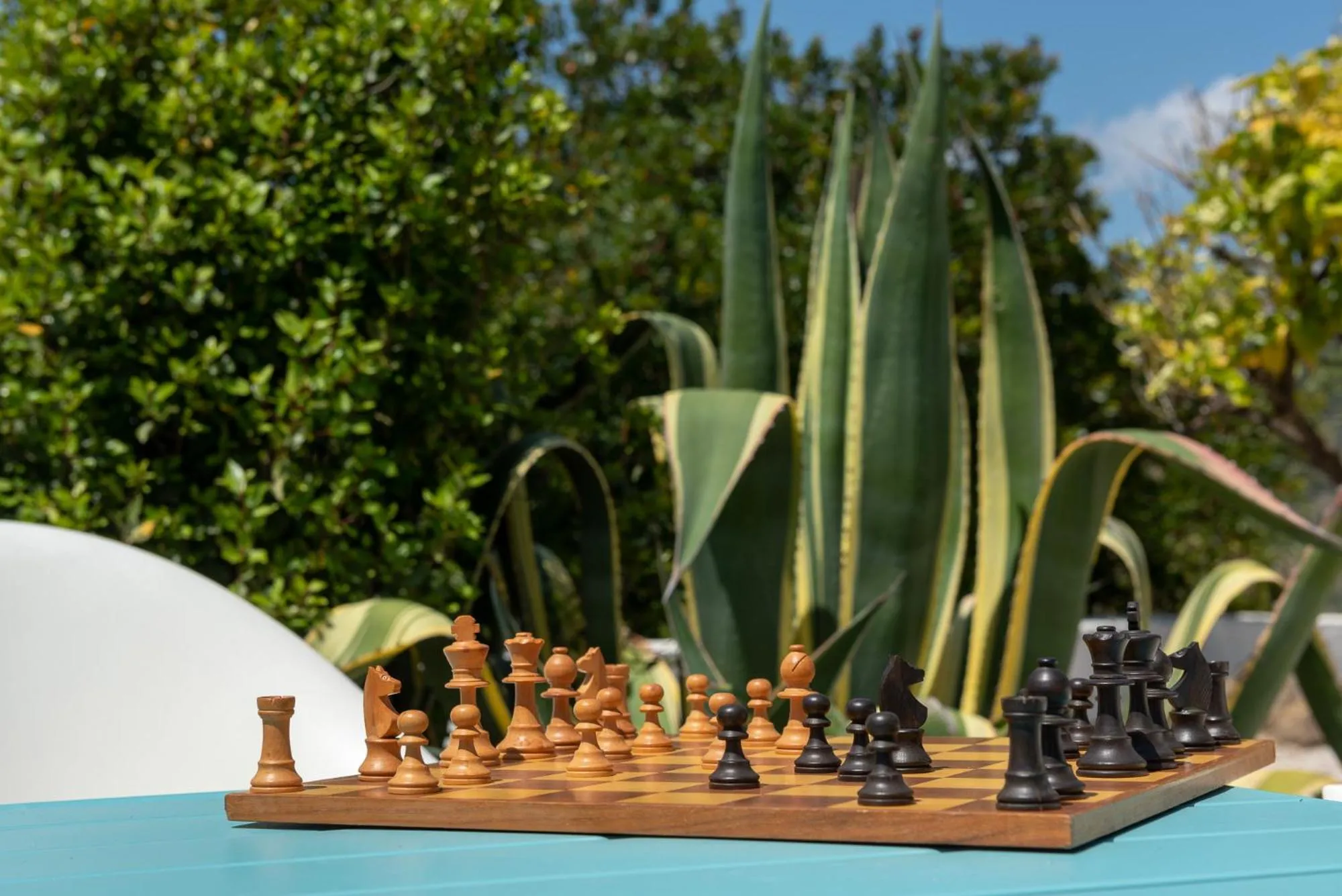 Swimming pool in Finca Gordo
