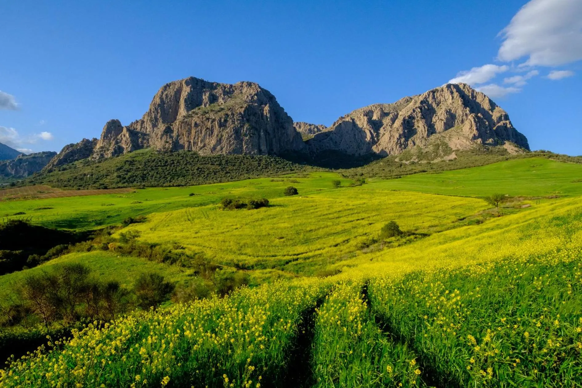 Landmark view in Finca Gordo