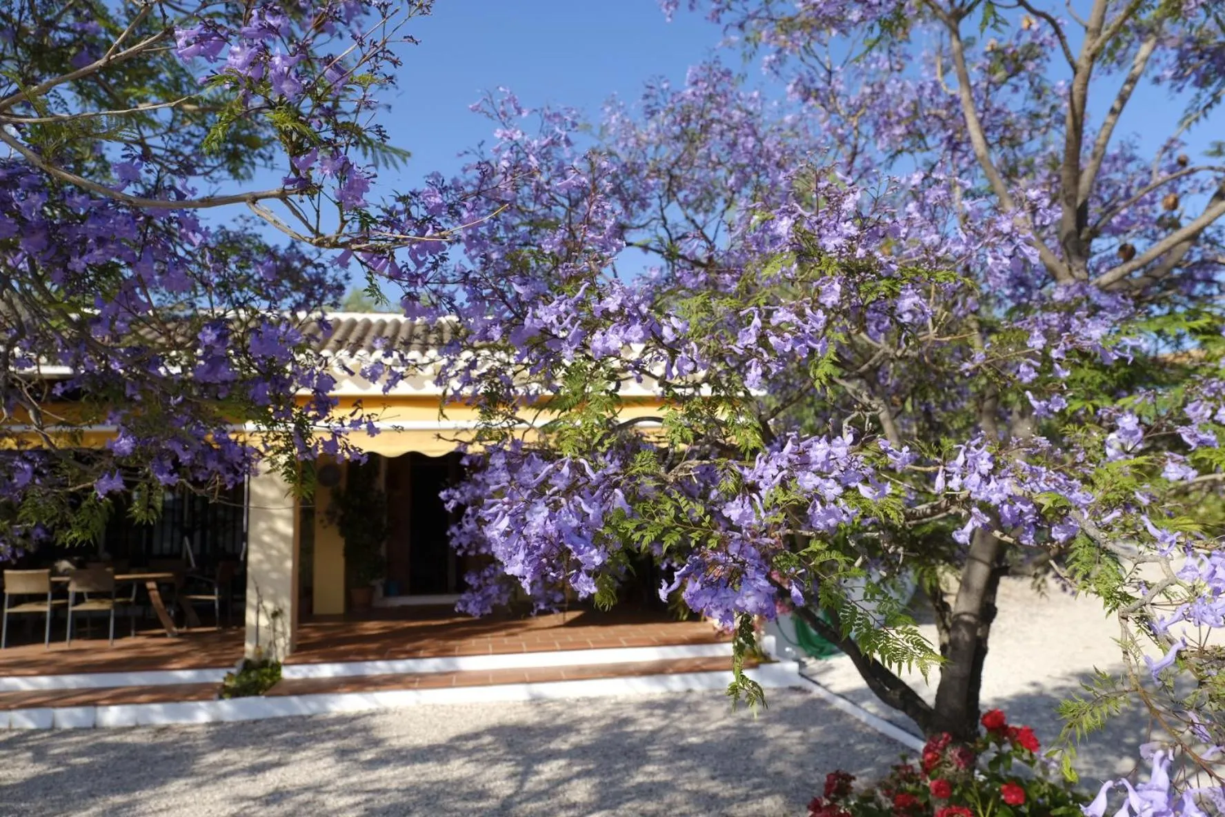 Property building in Finca Gordo