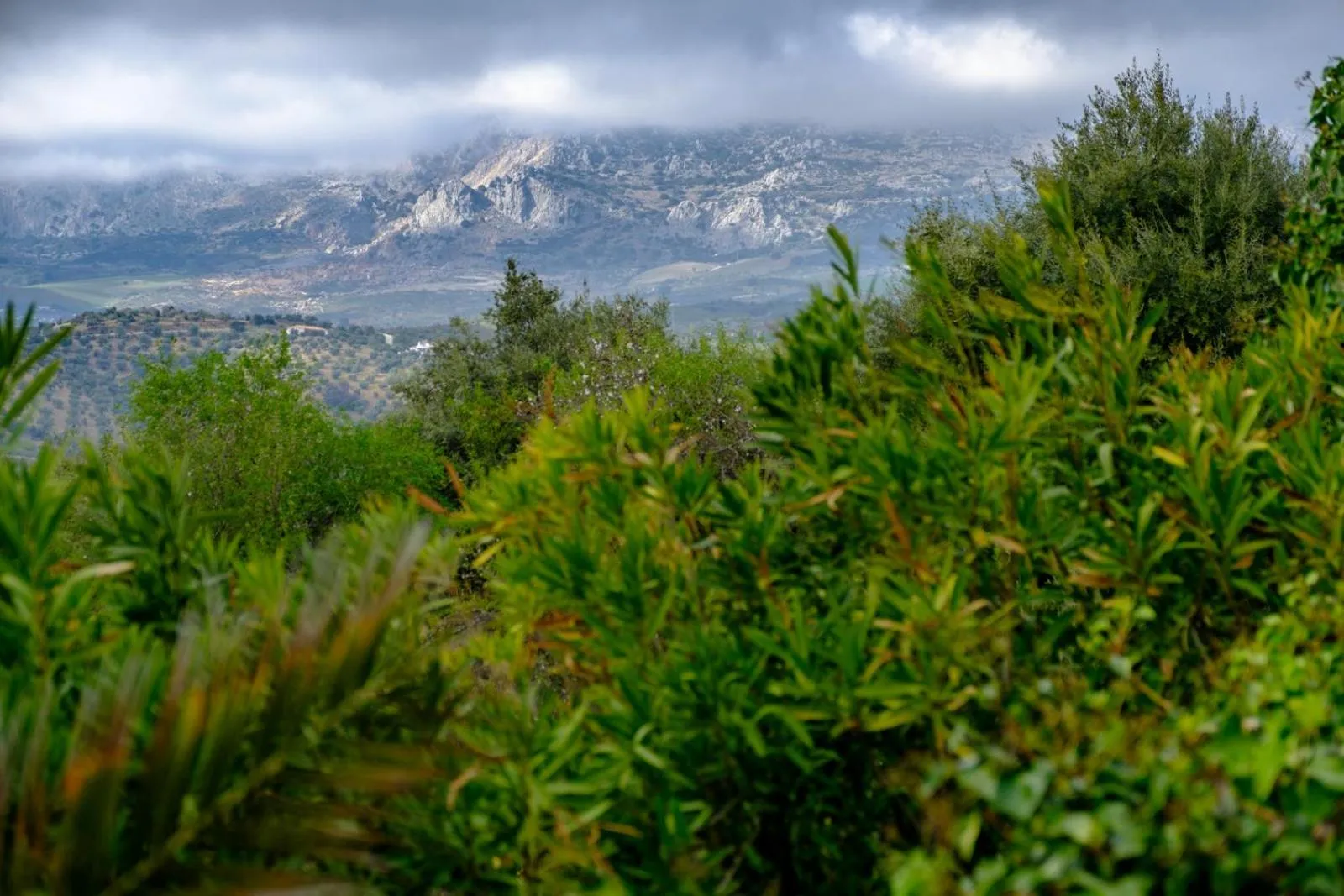 Natural landscape in Finca Gordo