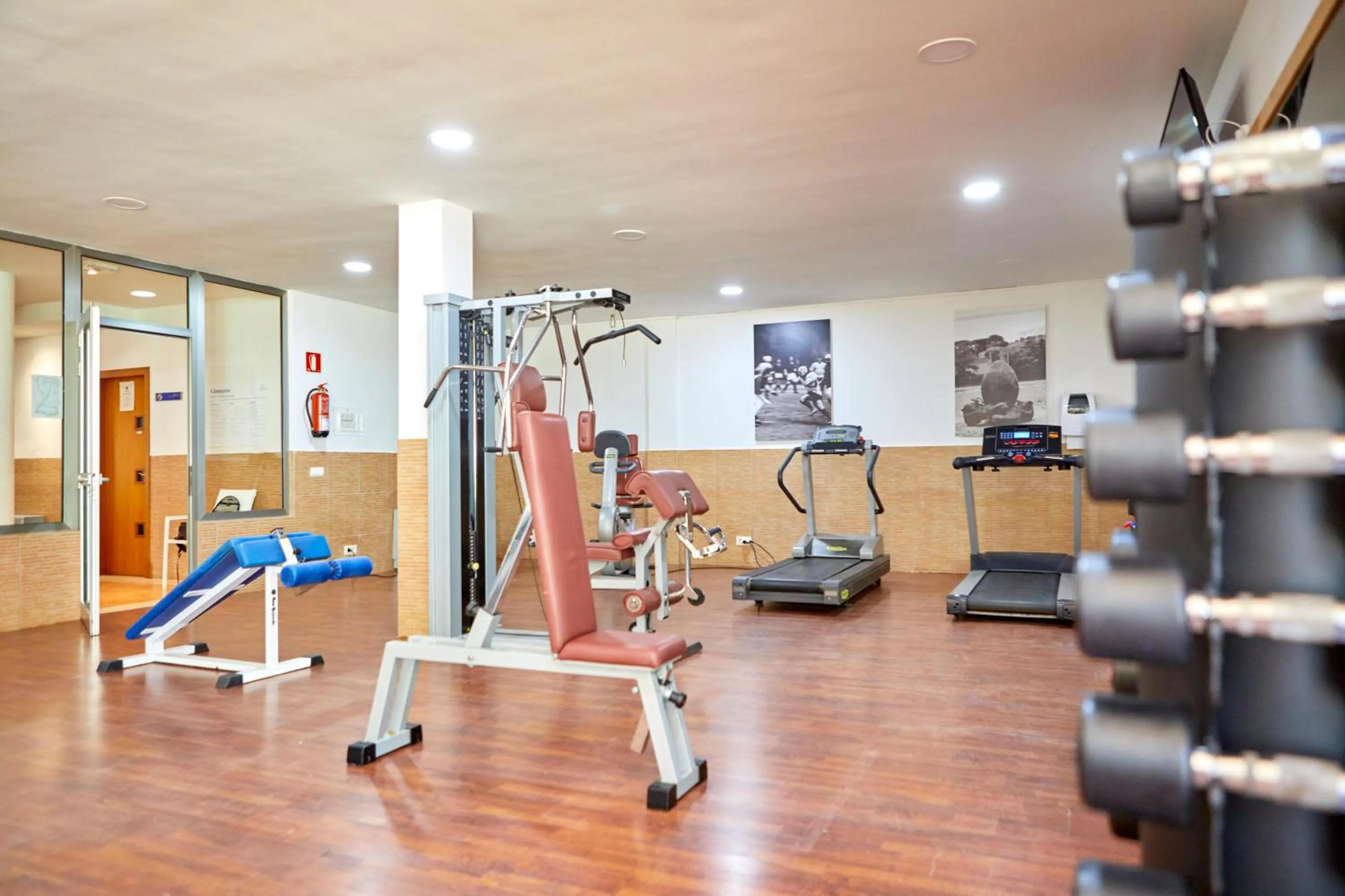 Activities in Zafiro Can Picafort