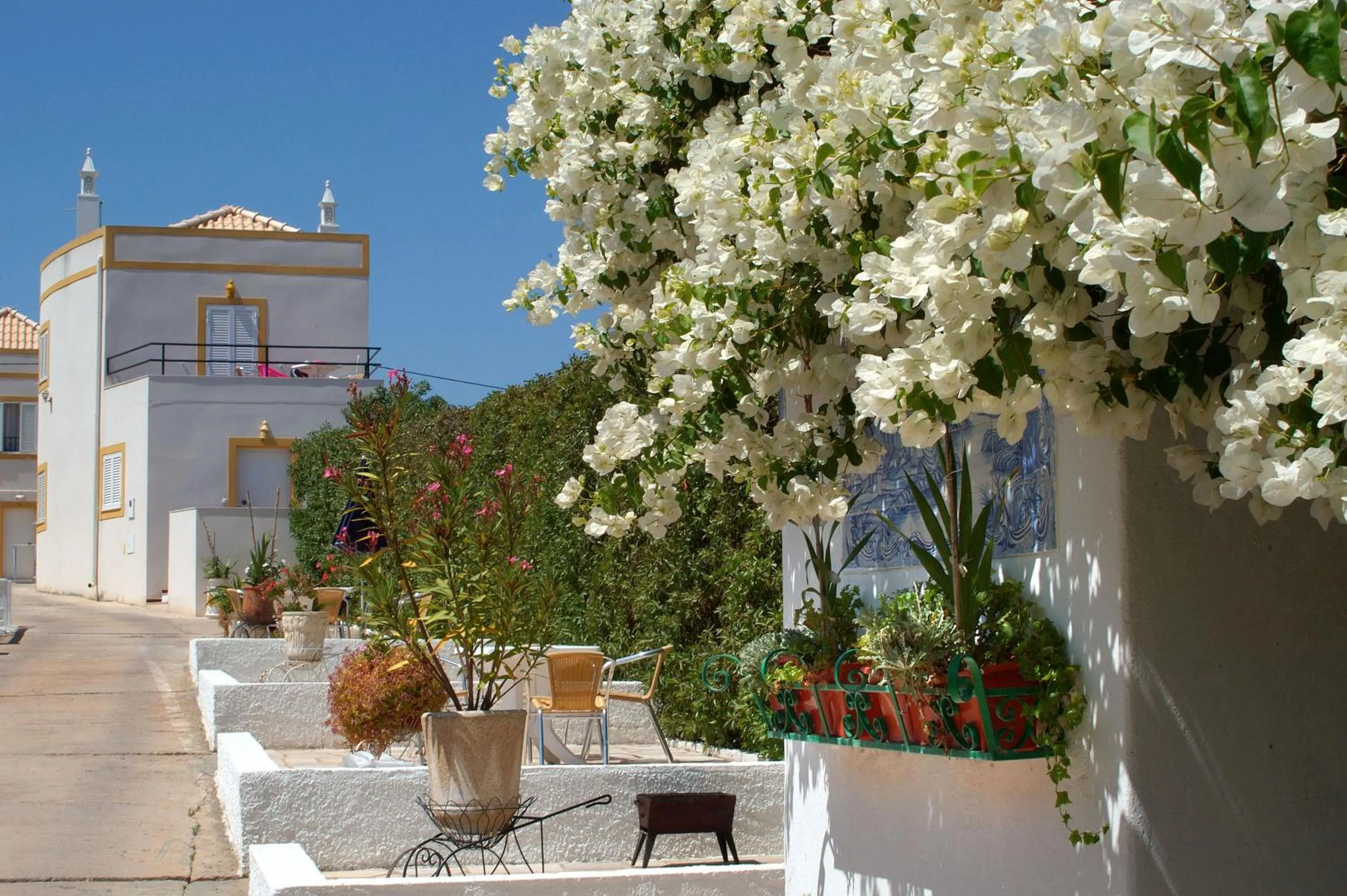 Garden in Monte dos Avós Village - Pet Friendly