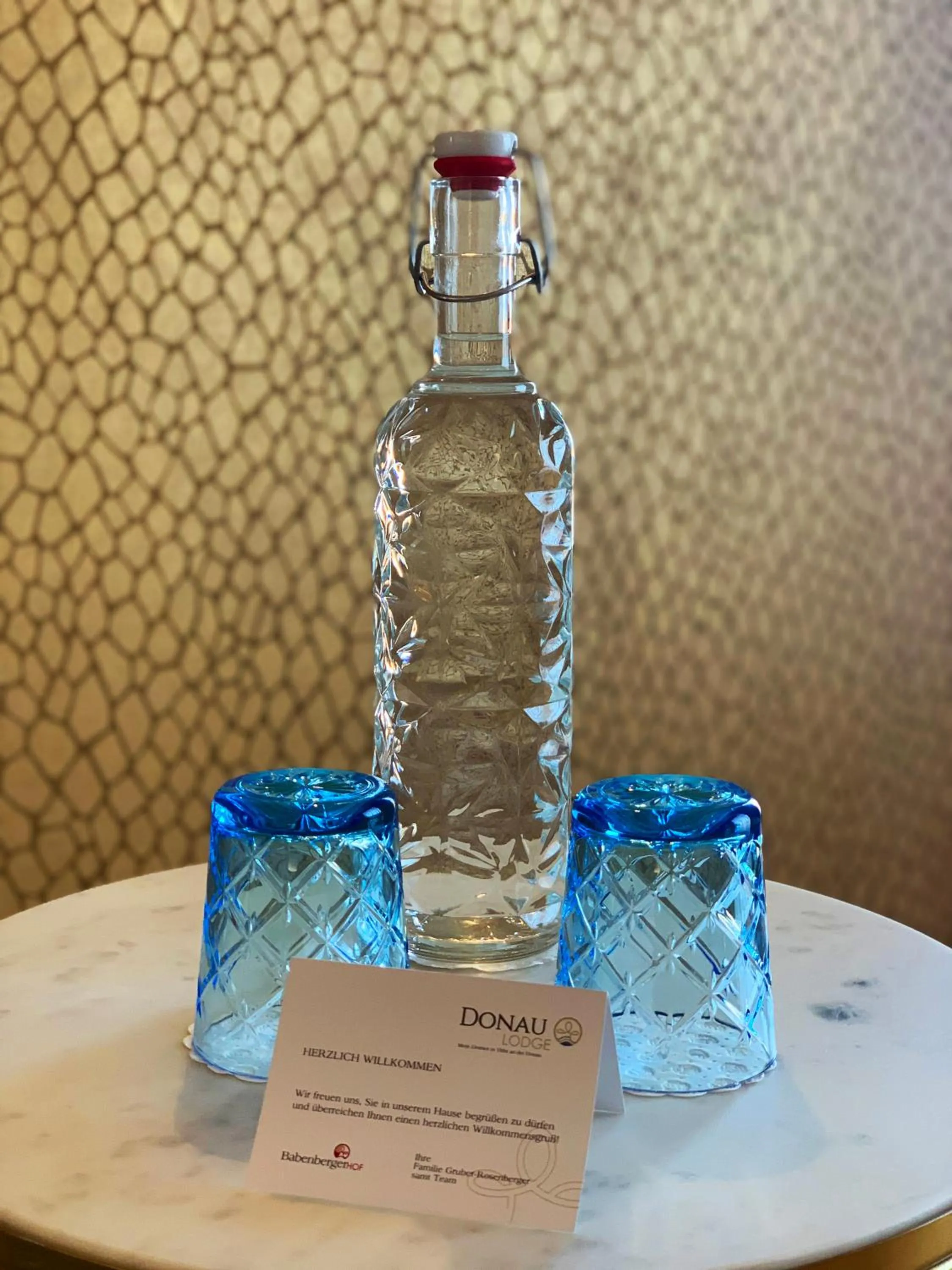 Photo of the whole room in Donau Lodge