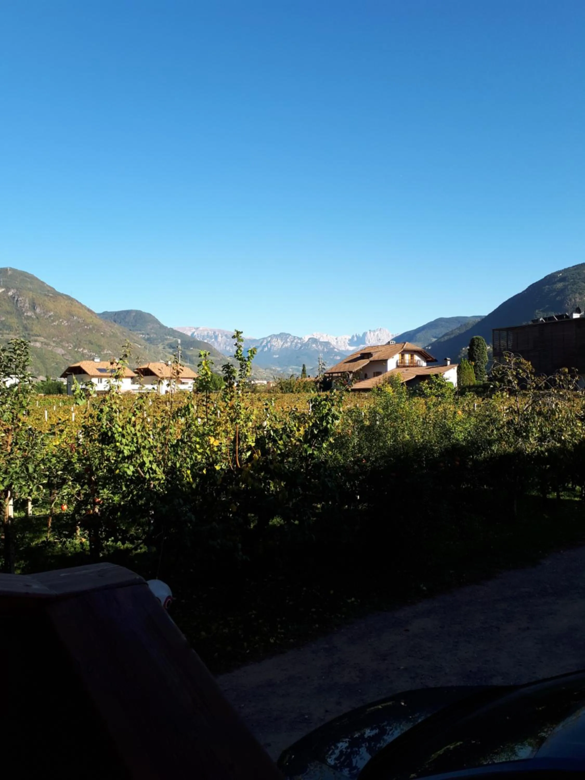 View (from property/room) in Urbanhof Prantenberger