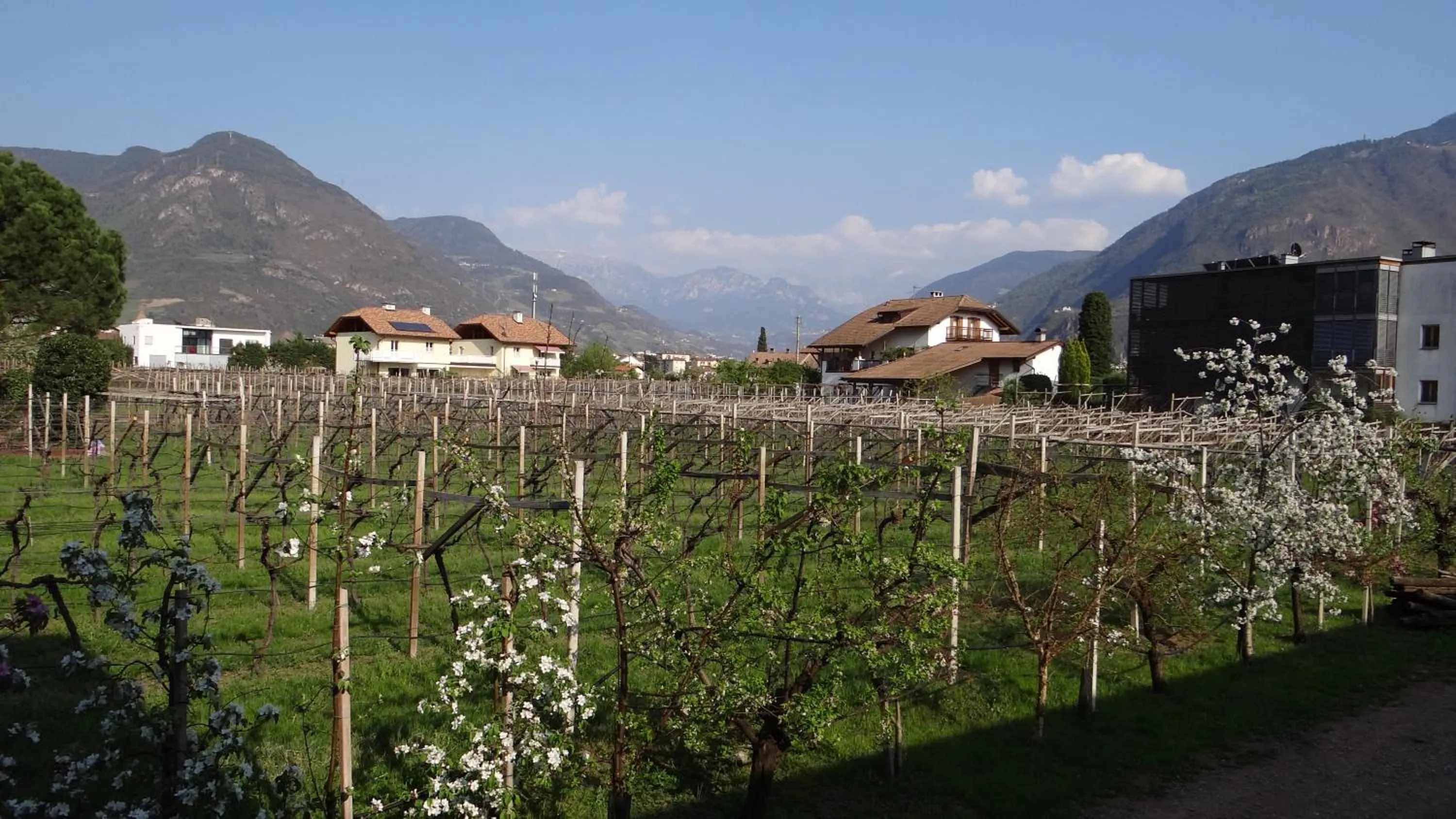 Mountain view in Urbanhof Prantenberger