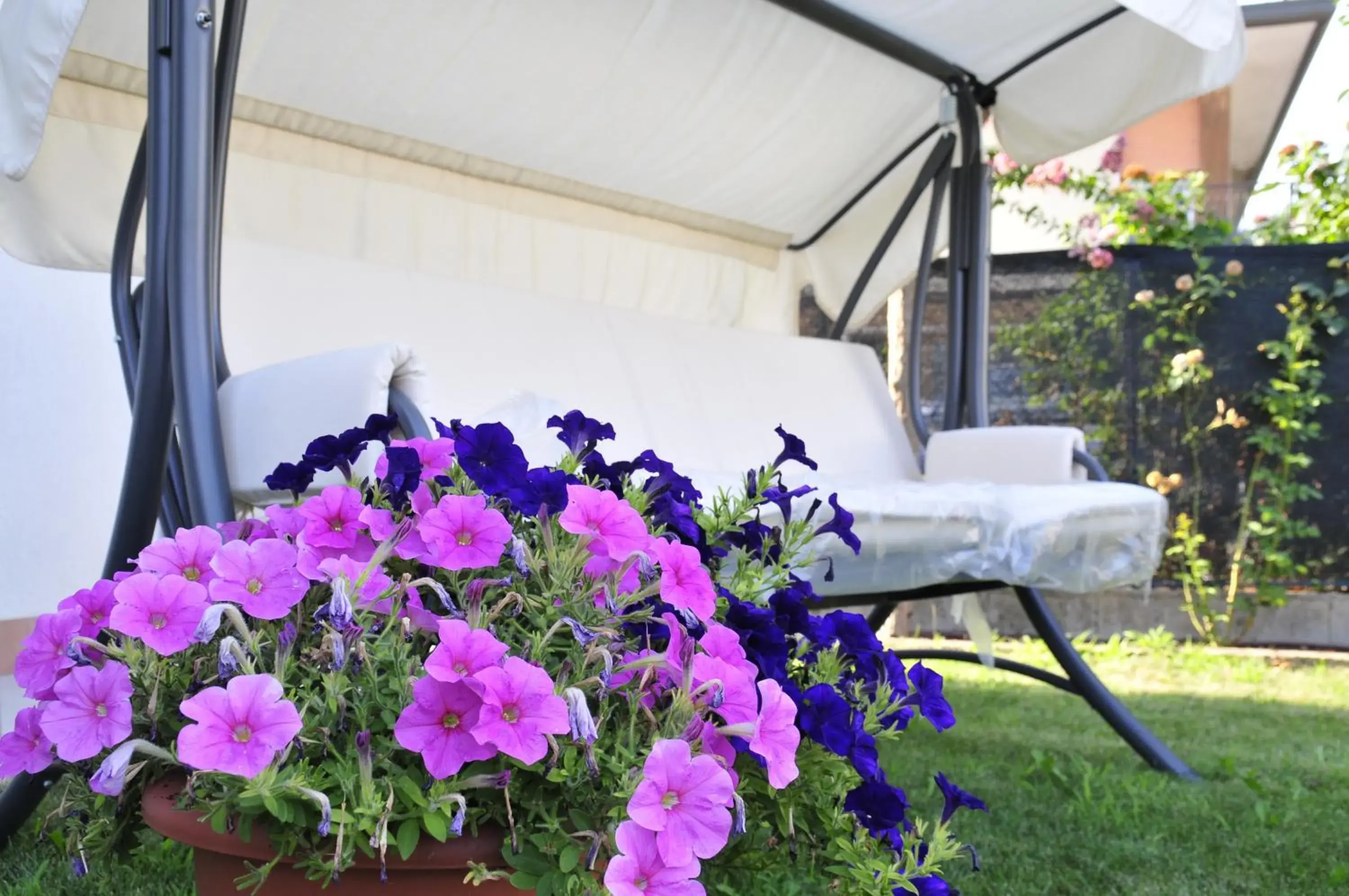 Casablanca Casablanca