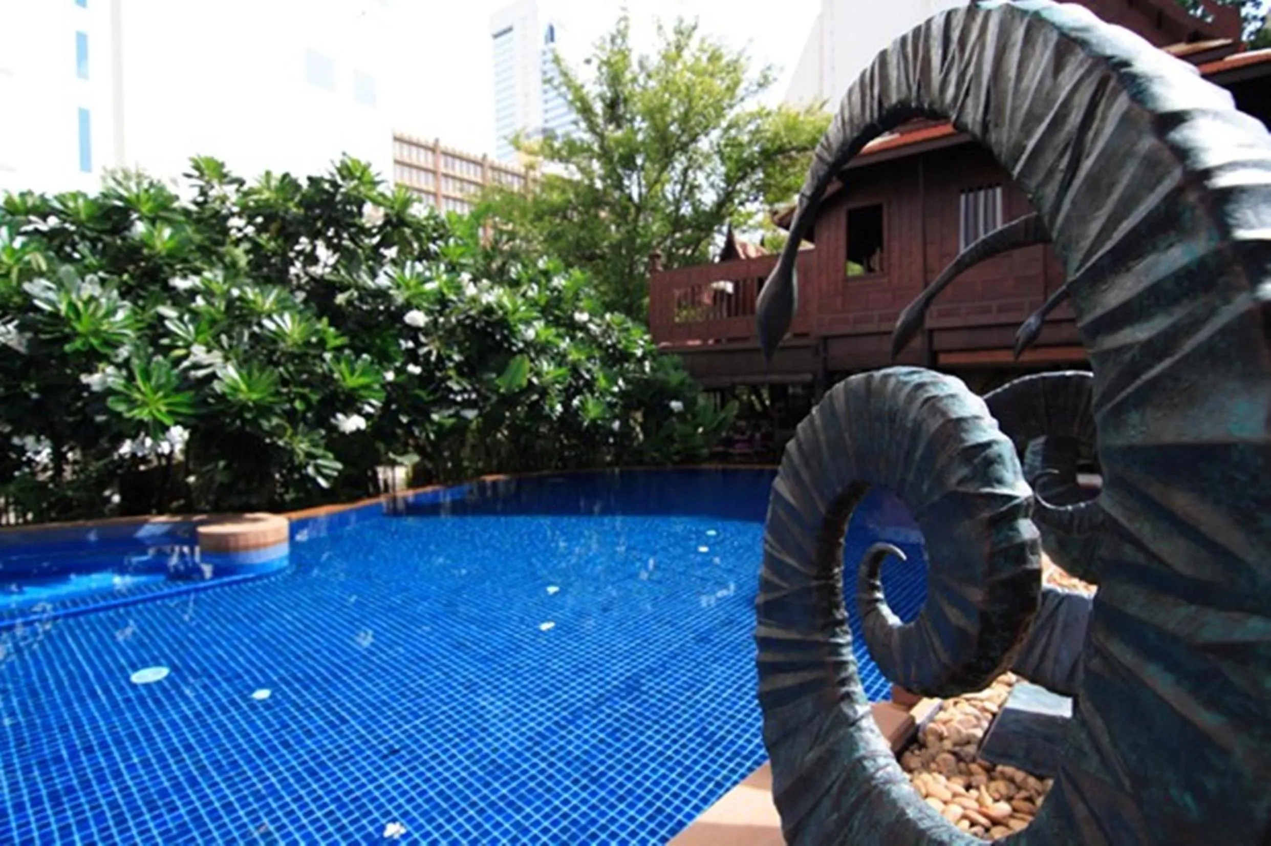 Swimming pool in Rose Hotel