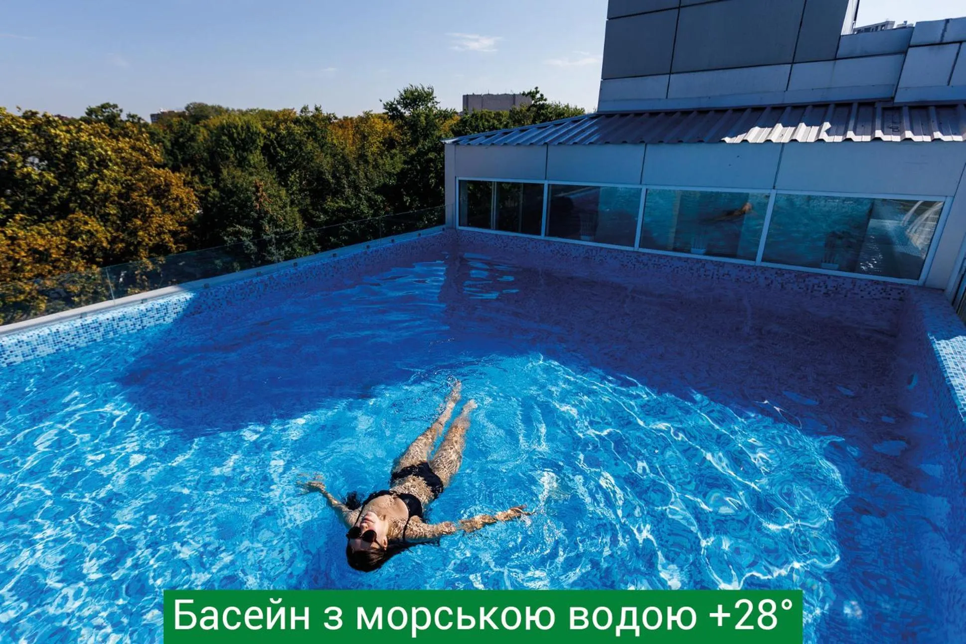 Swimming pool in Hotel & Spa NEMO with dolphins