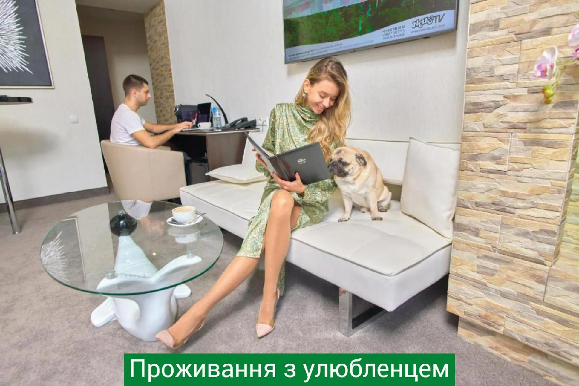 Hotel & Spa NEMO with dolphins