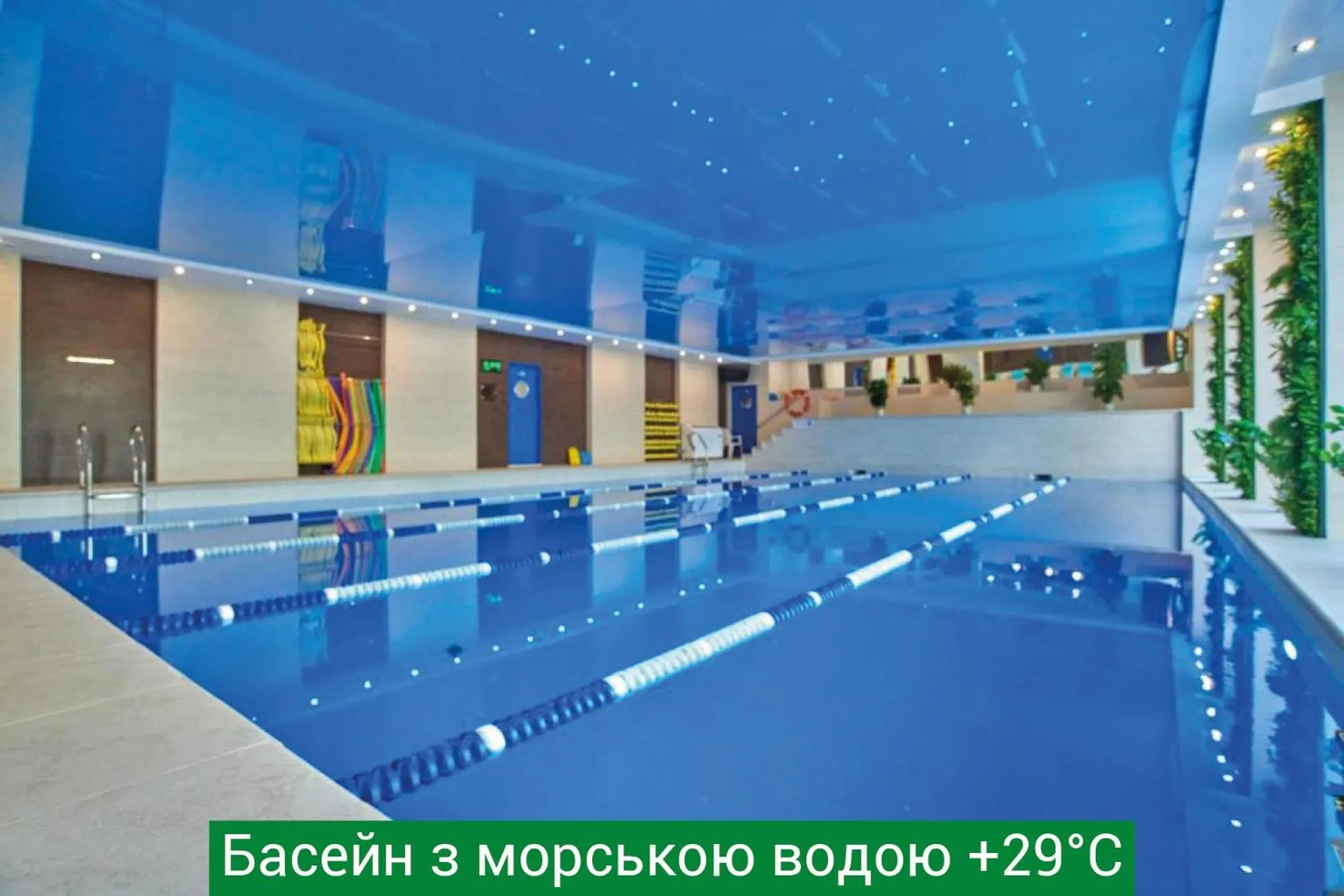 Hotel & Spa NEMO with dolphins