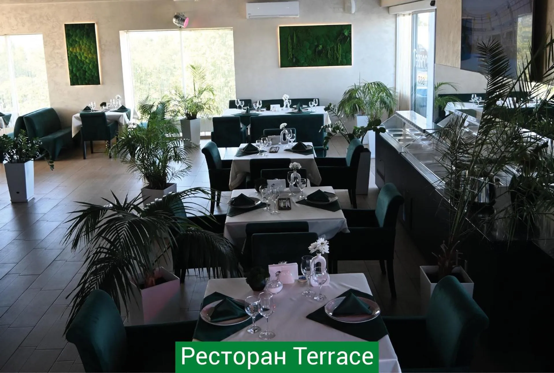 Hotel & Spa NEMO with dolphins