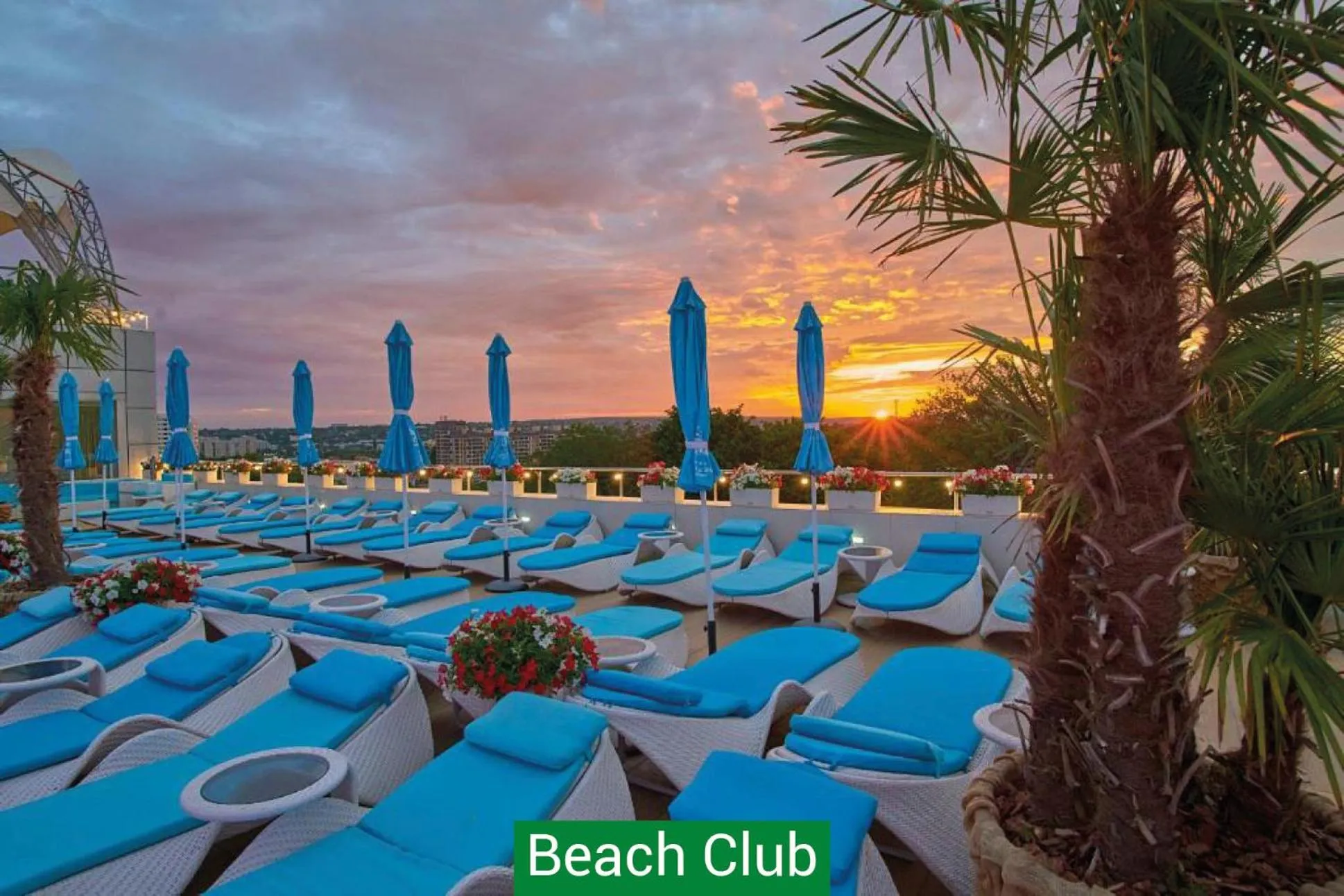 Hotel & Spa NEMO with dolphins