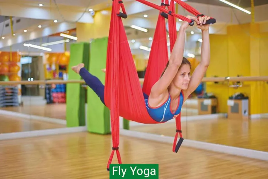 Activities in Hotel & Spa NEMO with dolphins