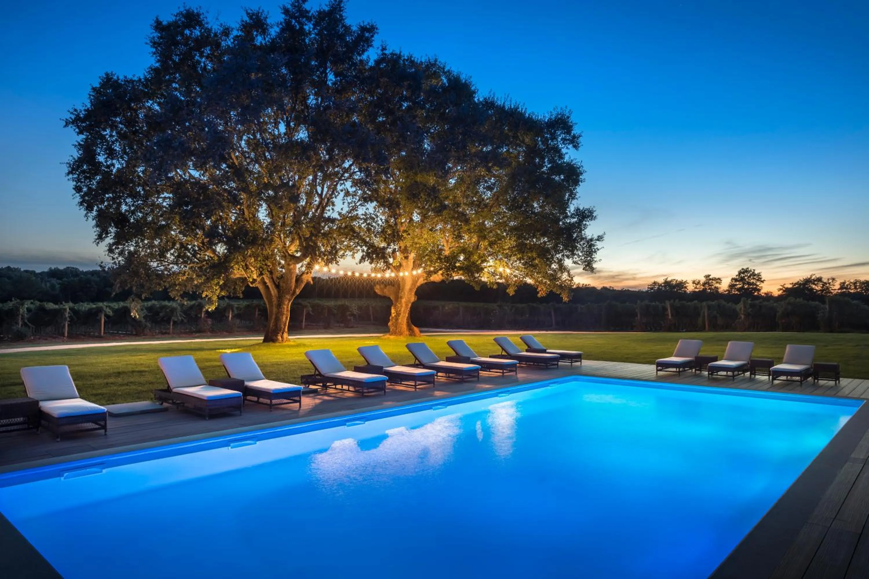 Natural landscape in Meneghetti Wine Hotel and Winery - Relais & Chateaux