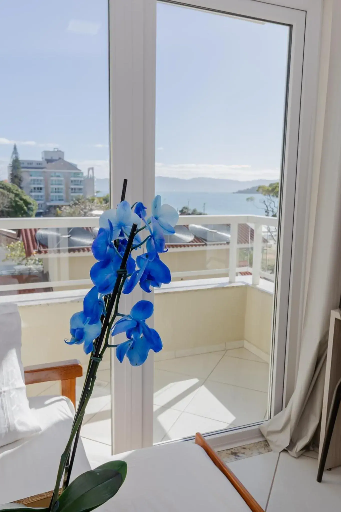 Deluxe Apartment Side Sea View in Hotel Monteiro Canasvieiras Deluxe Apartment Side Sea View in Hotel Monteiro Canasvieiras