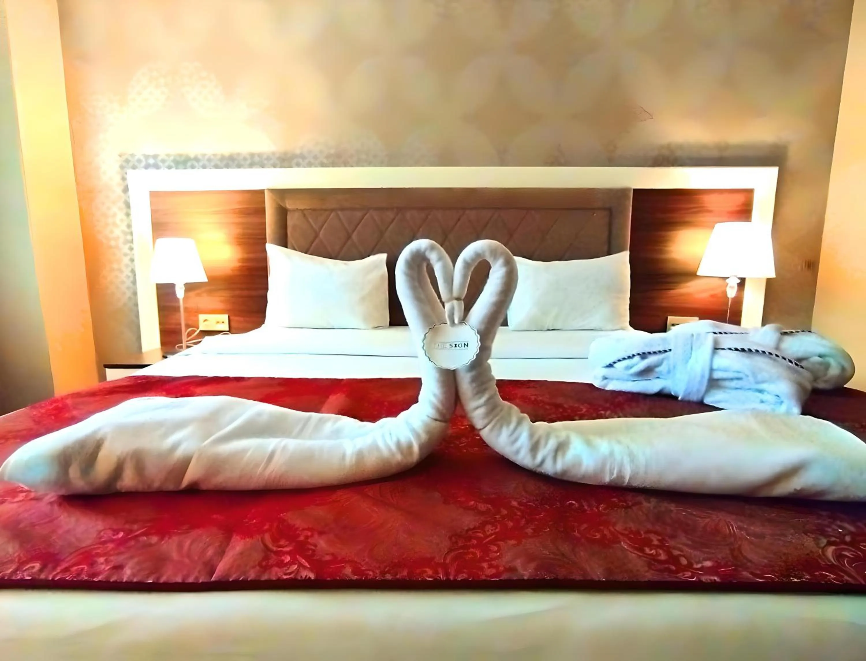 Budget Double Room - single occupancy in The Sign Kocaeli Thermal Spa Hotel &Convention Center