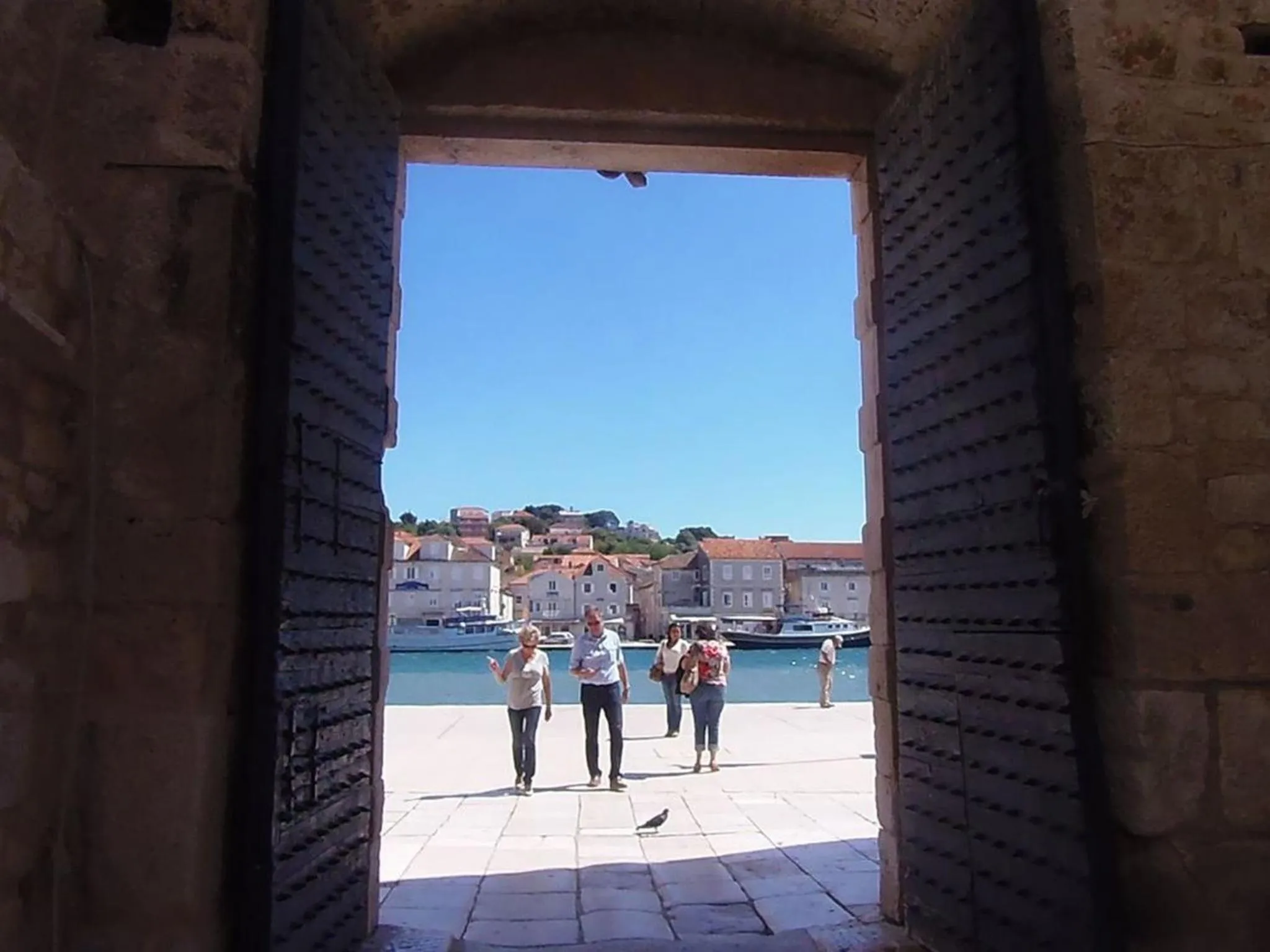 Spring in Tragos Lemon Tree