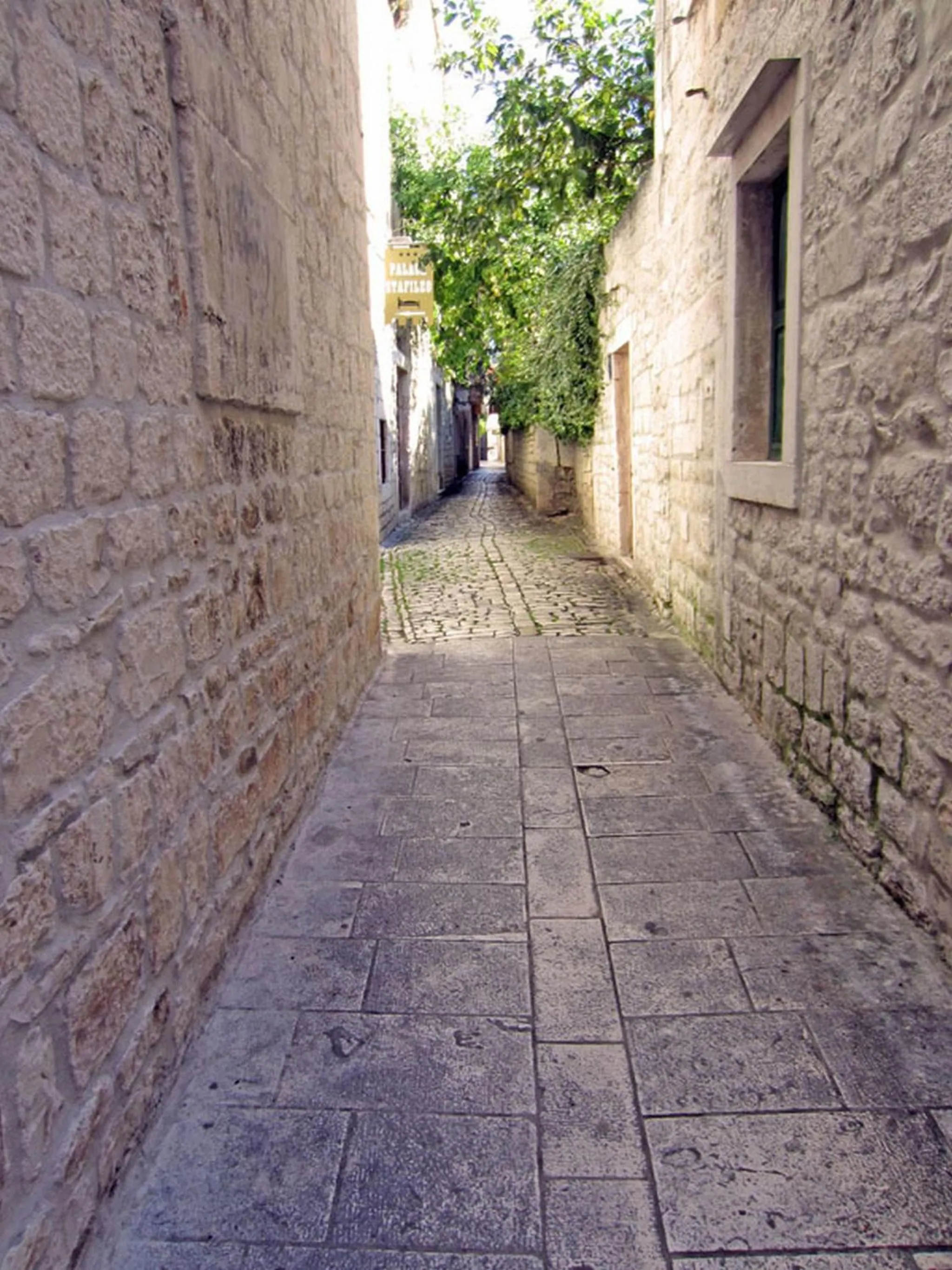 Area and facilities in Tragos Lemon Tree