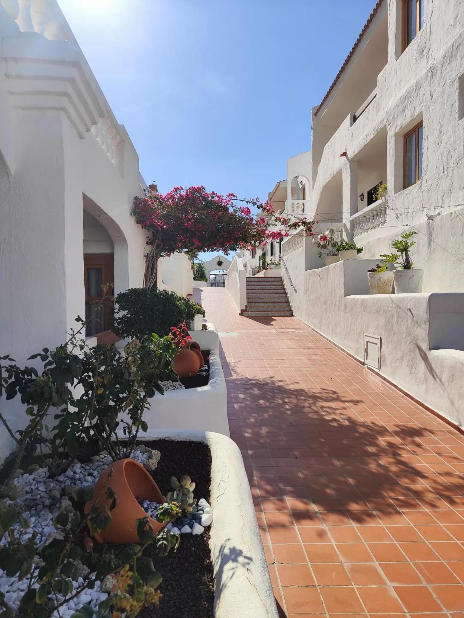 Property building in Port Royale