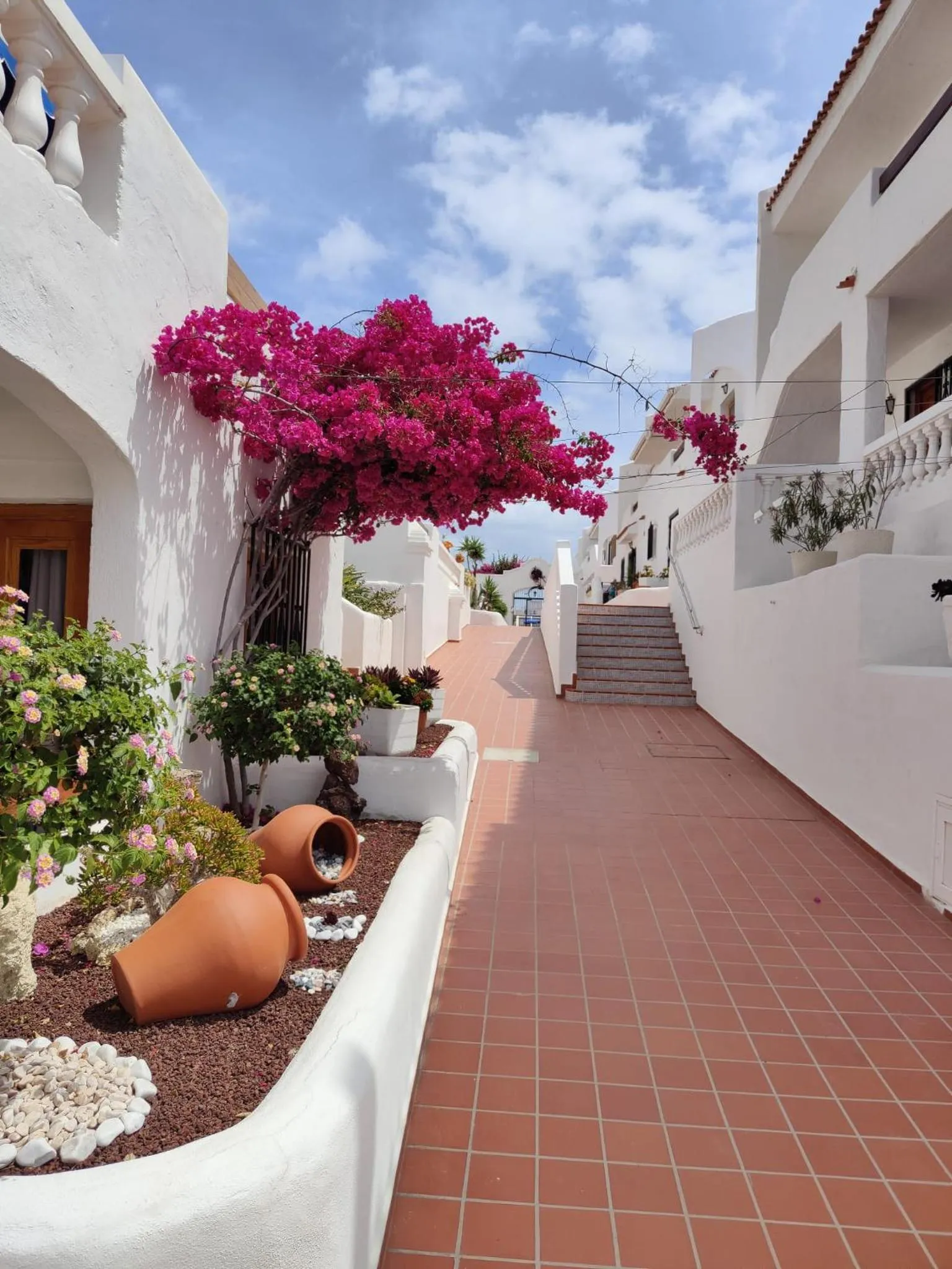 Property building in Port Royale