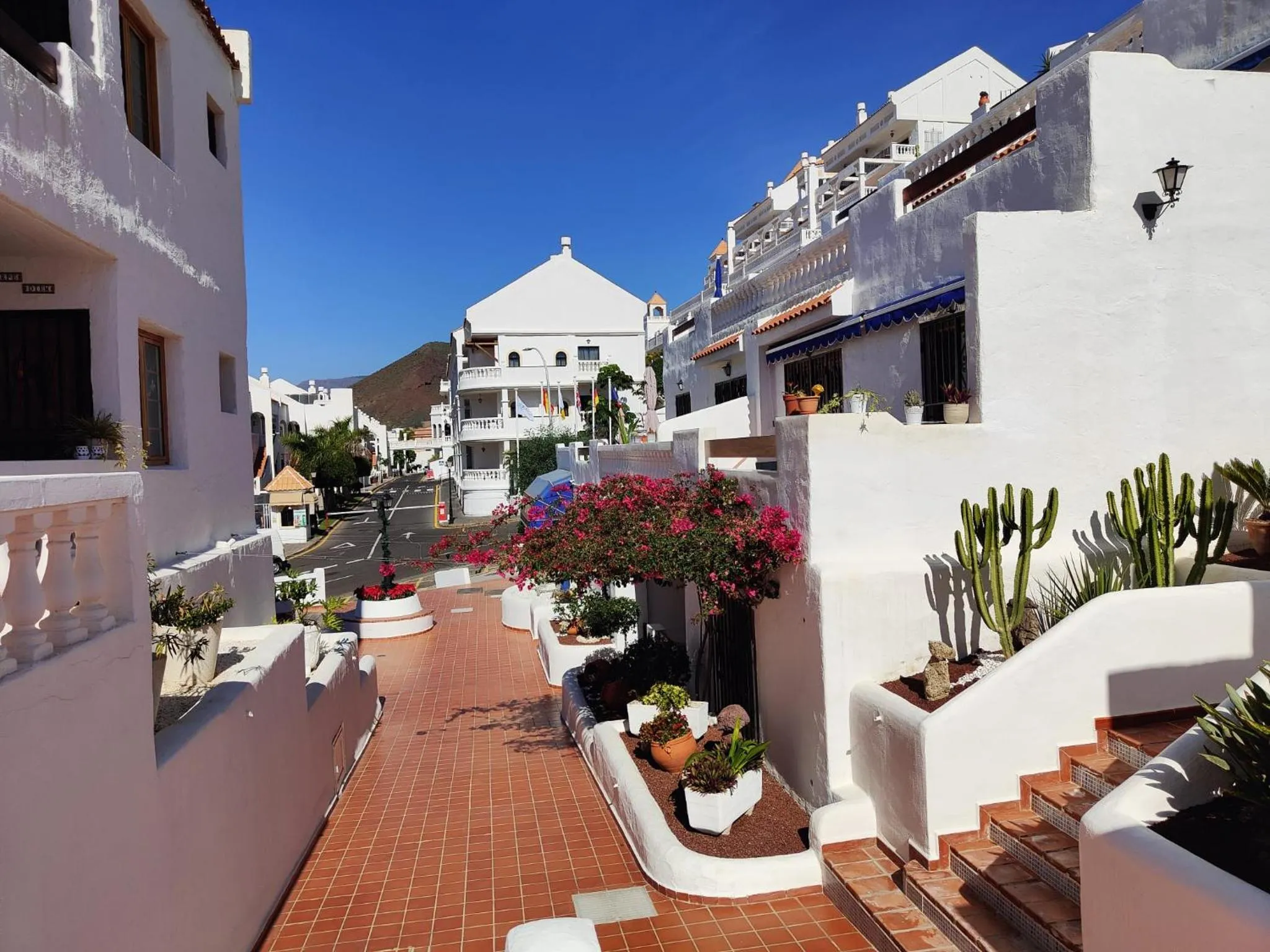 Property building in Port Royale