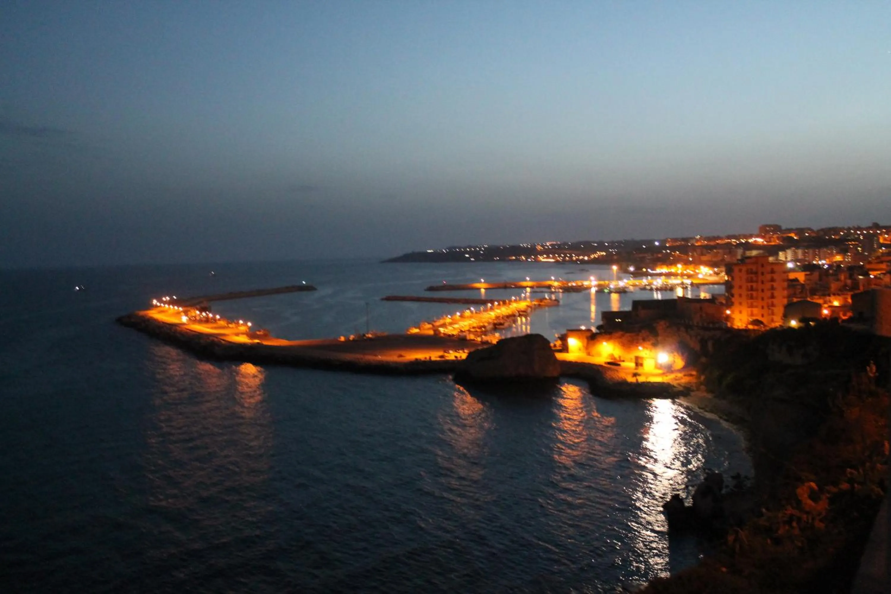 House surrounded by olive trees