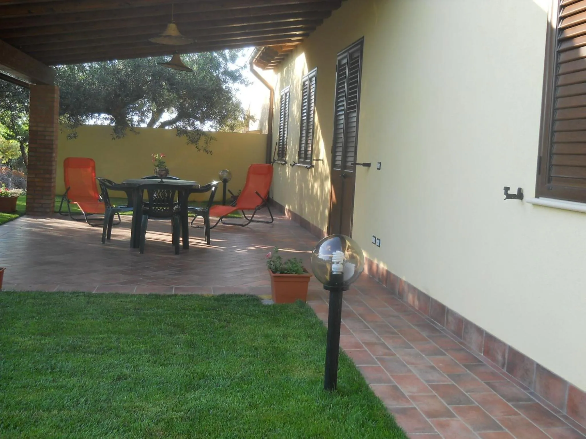 House surrounded by olive trees
