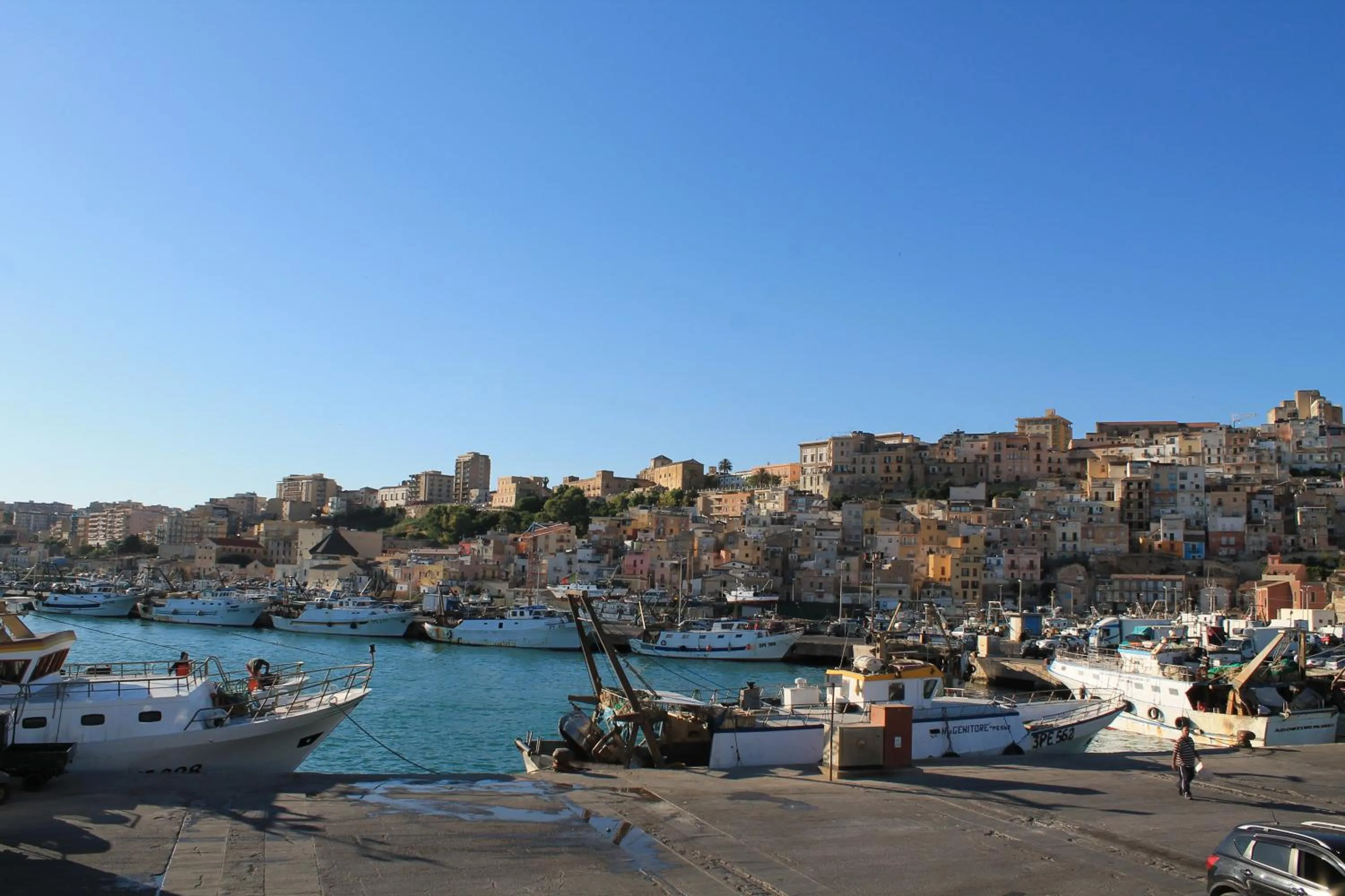 House surrounded by olive trees