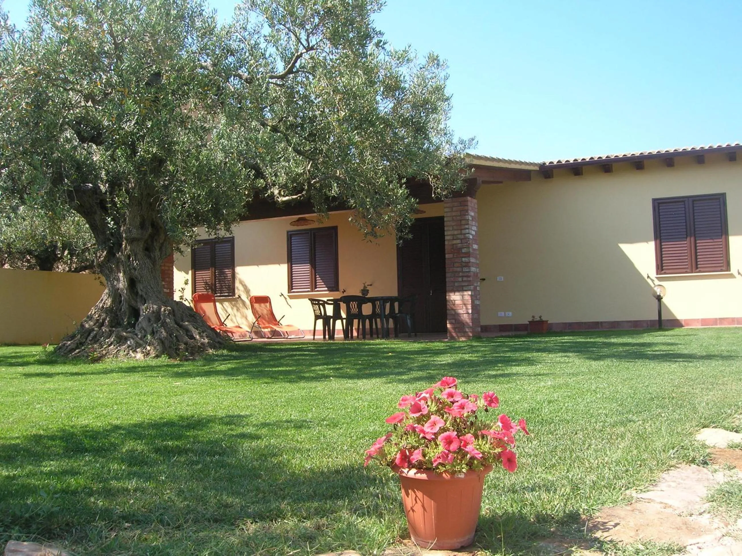 Garden in House surrounded by olive trees