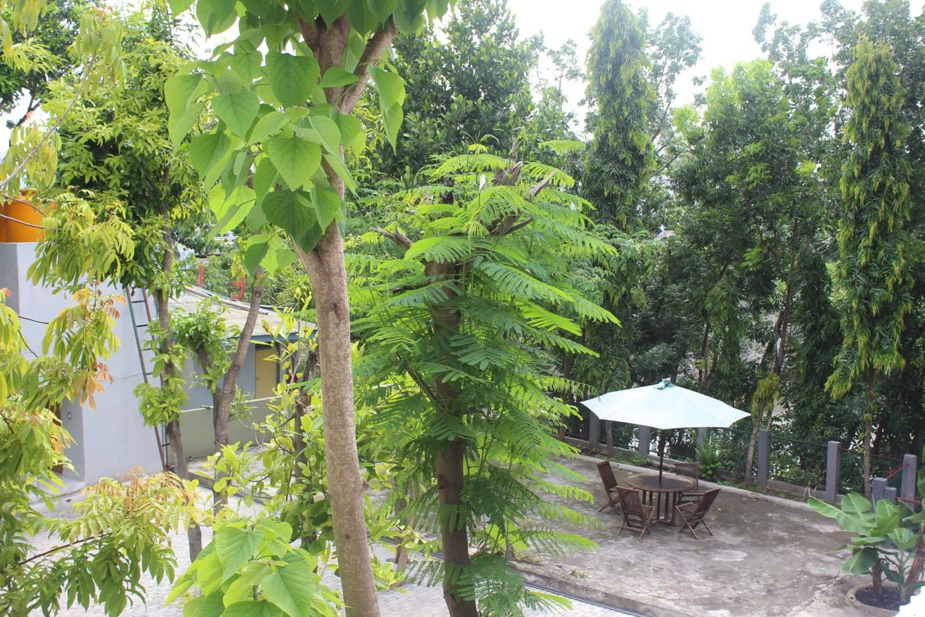 Patio in Pondok Wisata dan Restoran Elim