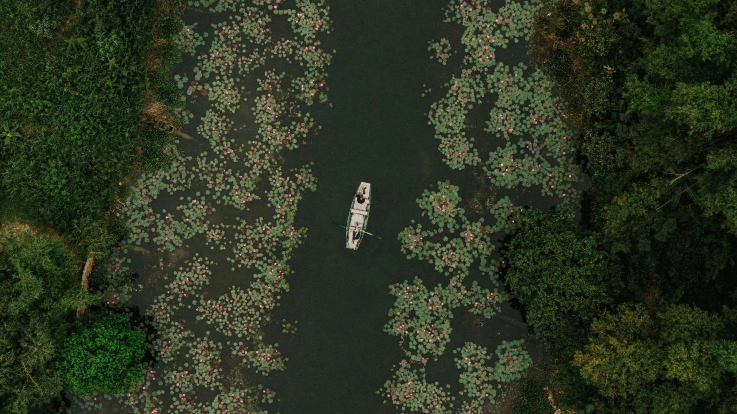 Natural landscape in Aravinda Resort Ninh Binh