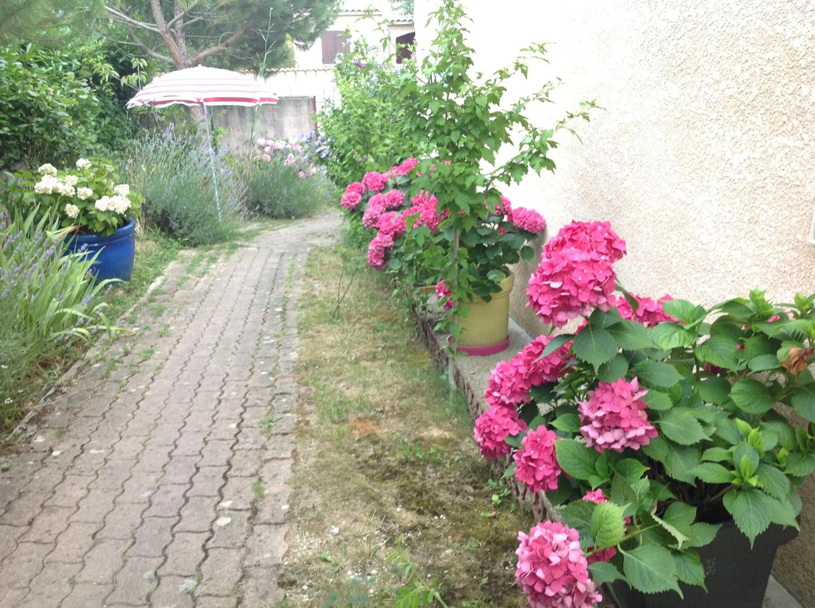 Garden in Bed & Breakfast Le Beauséjour