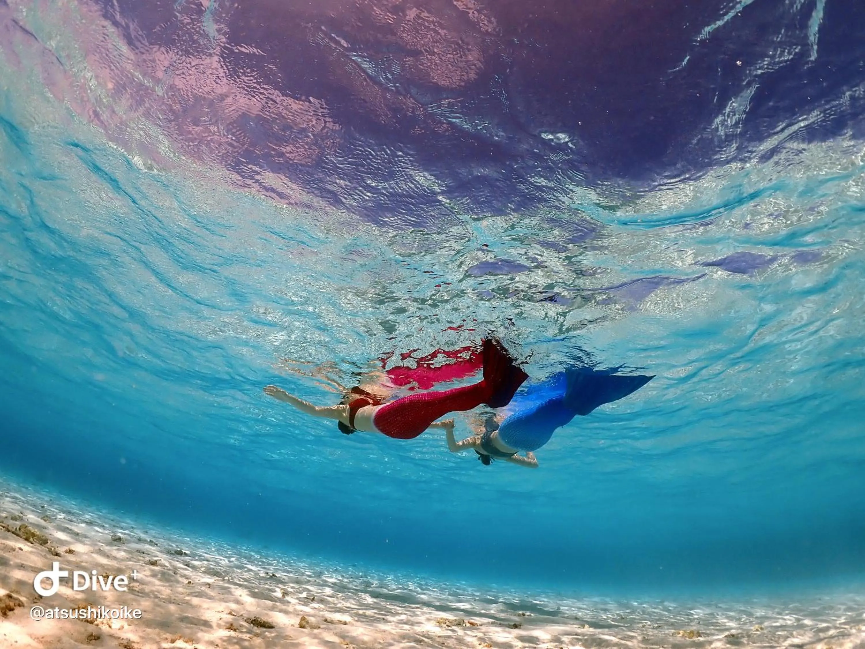 Snorkeling in Guesthouse Koa