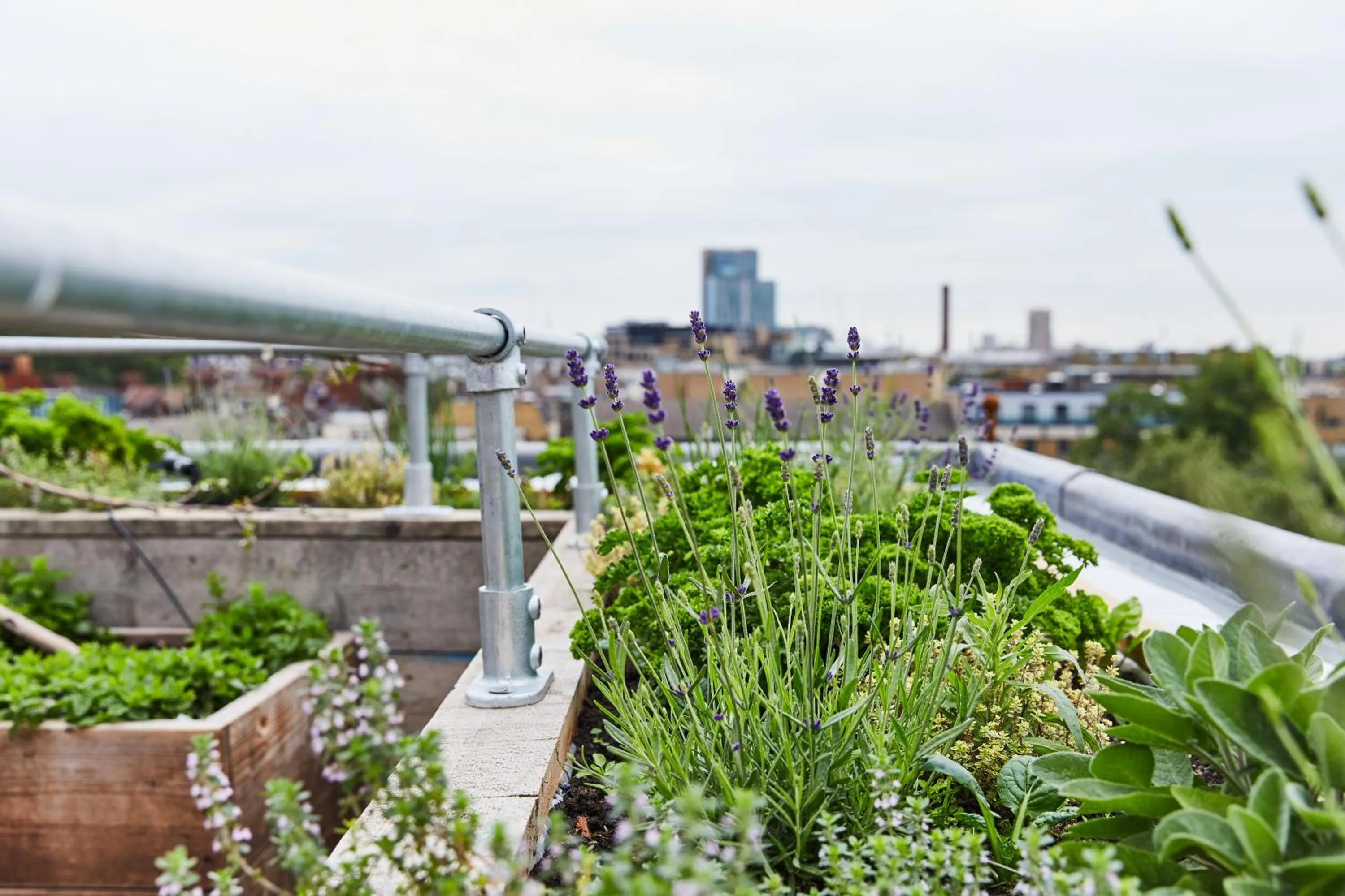 Balcony/Terrace in The Buxton