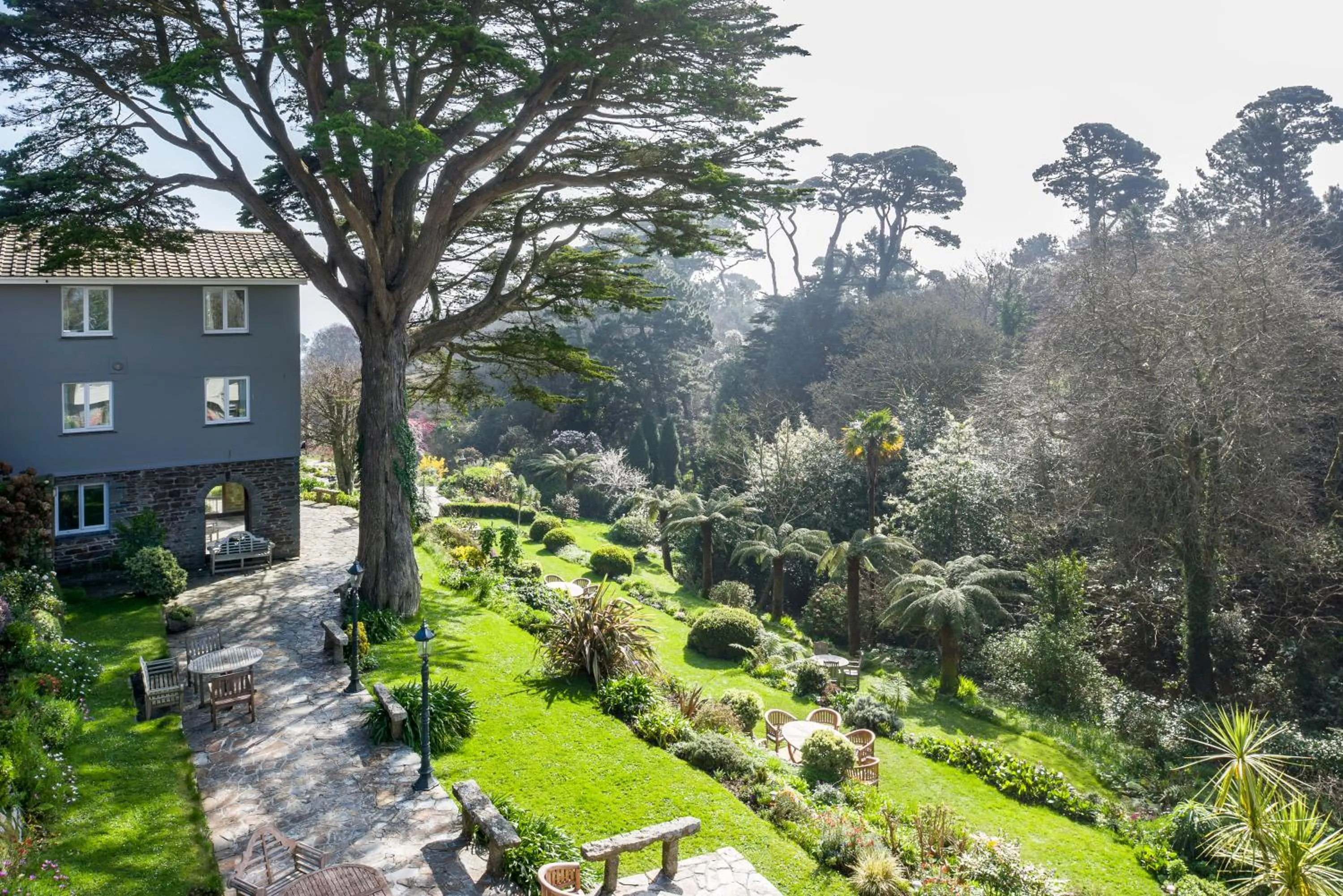 Garden in Hotel Meudon