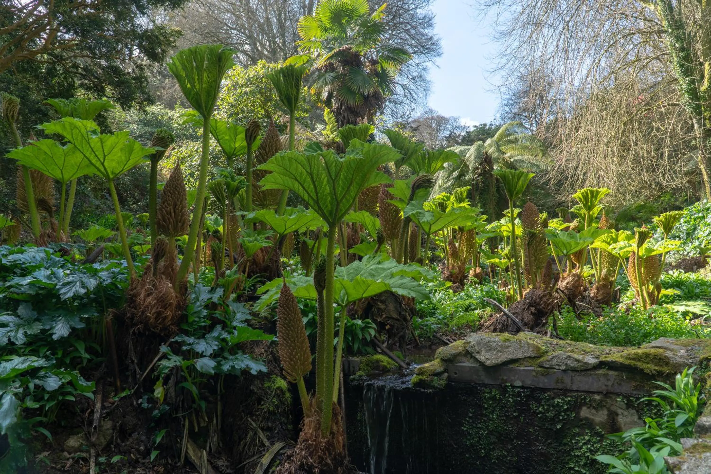 Natural landscape in Hotel Meudon
