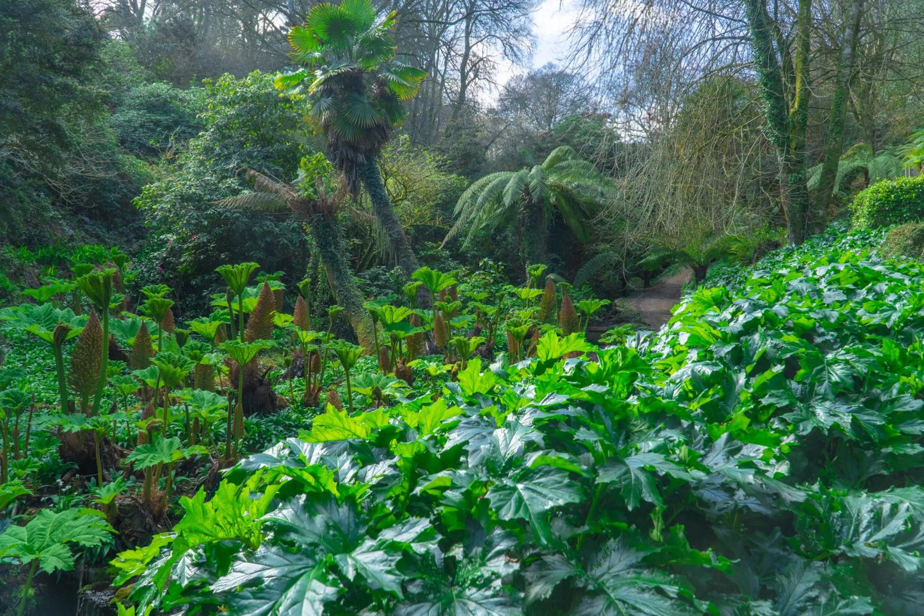 Natural landscape in Hotel Meudon