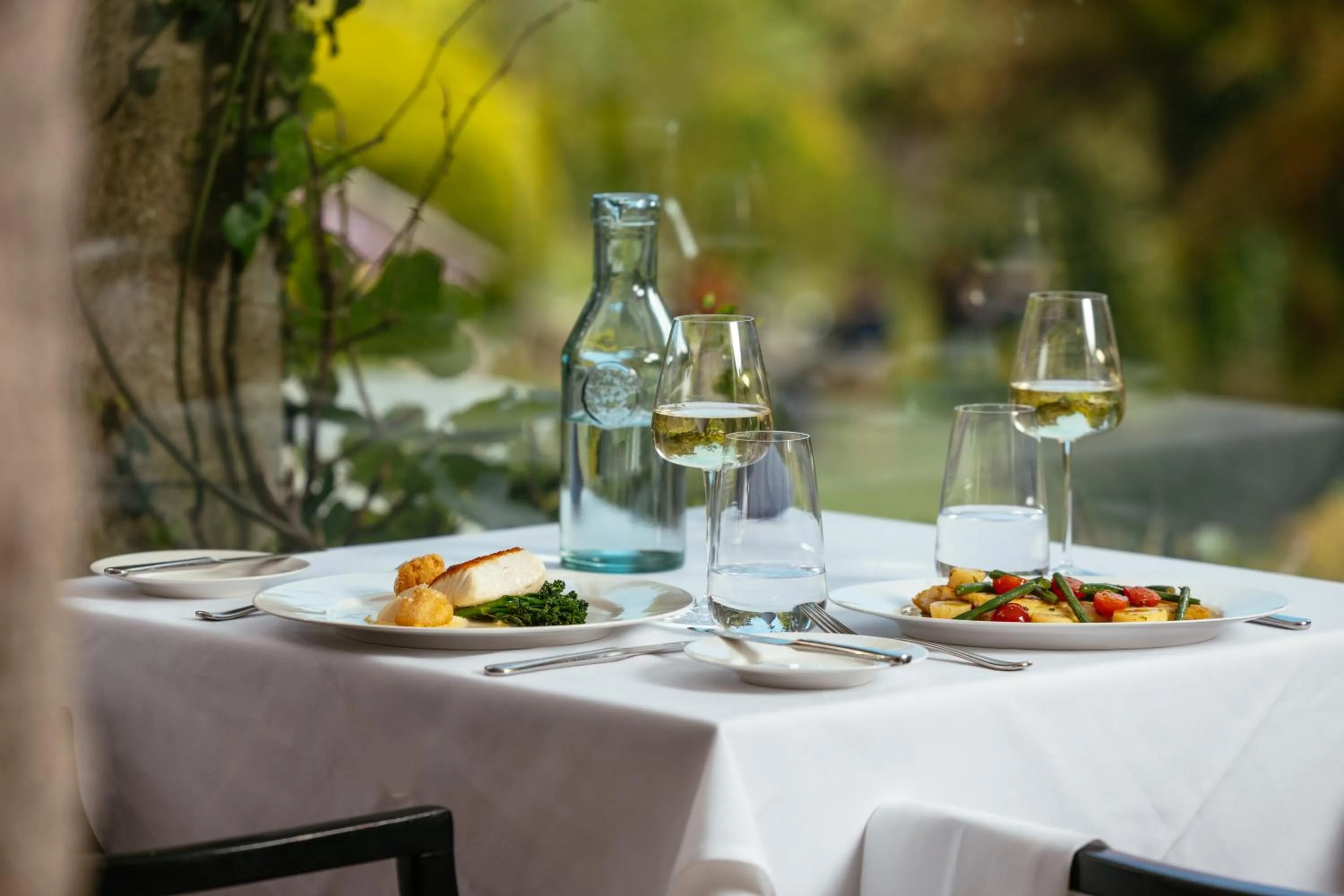 Garden in Hotel Meudon